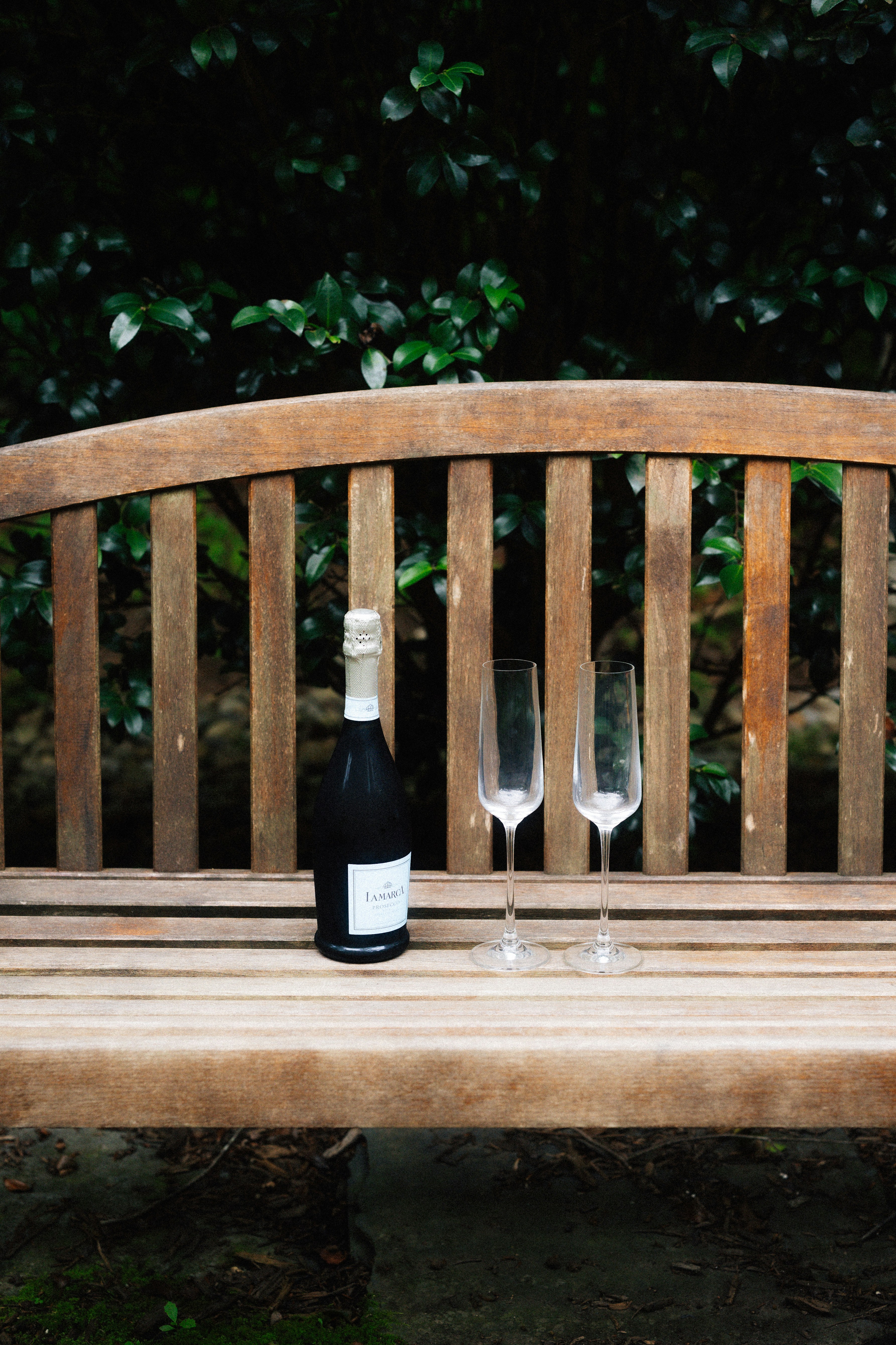 A bottle of champagne and glasses sit on a bench