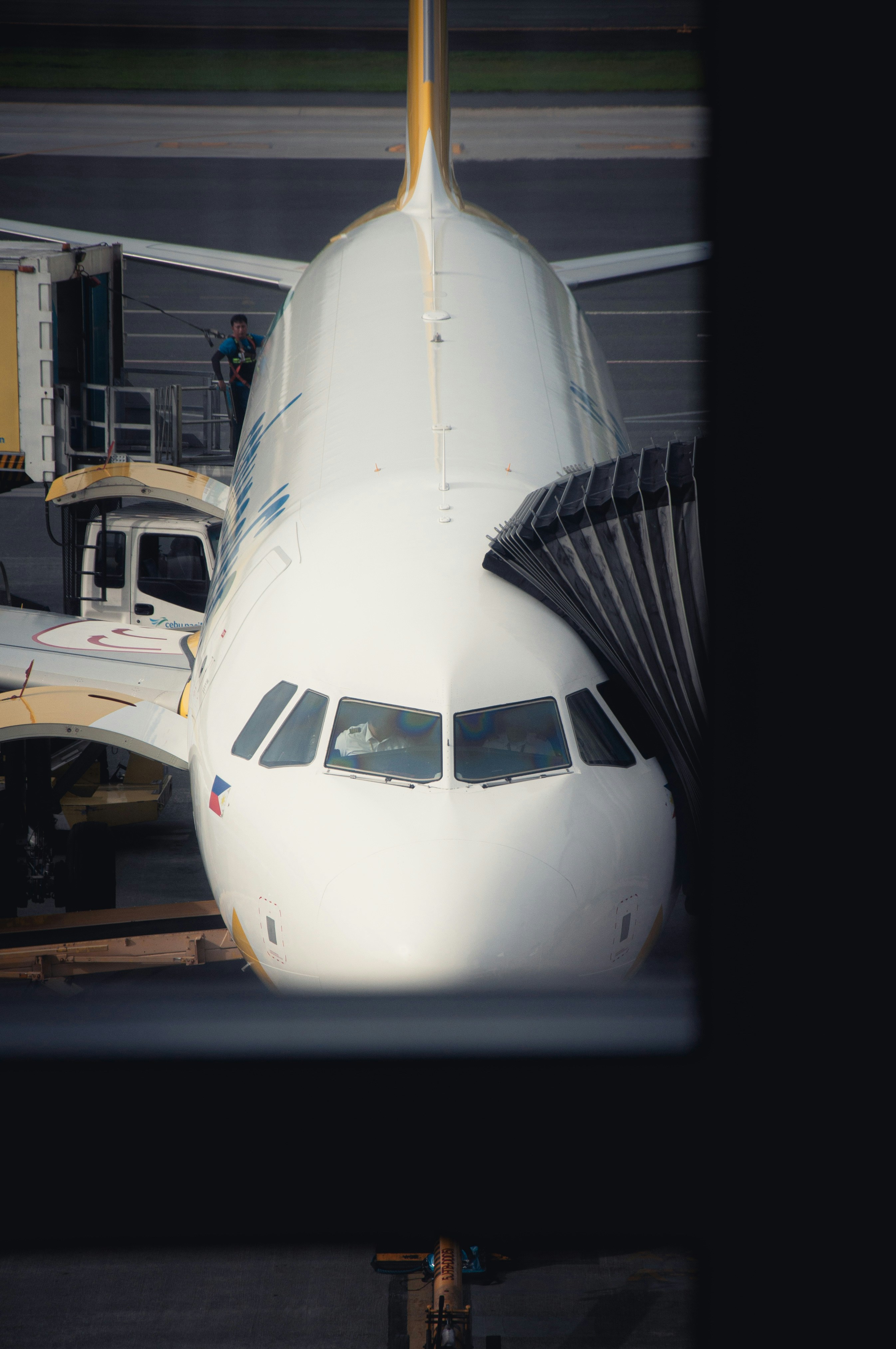 Photo by nilepereiraa