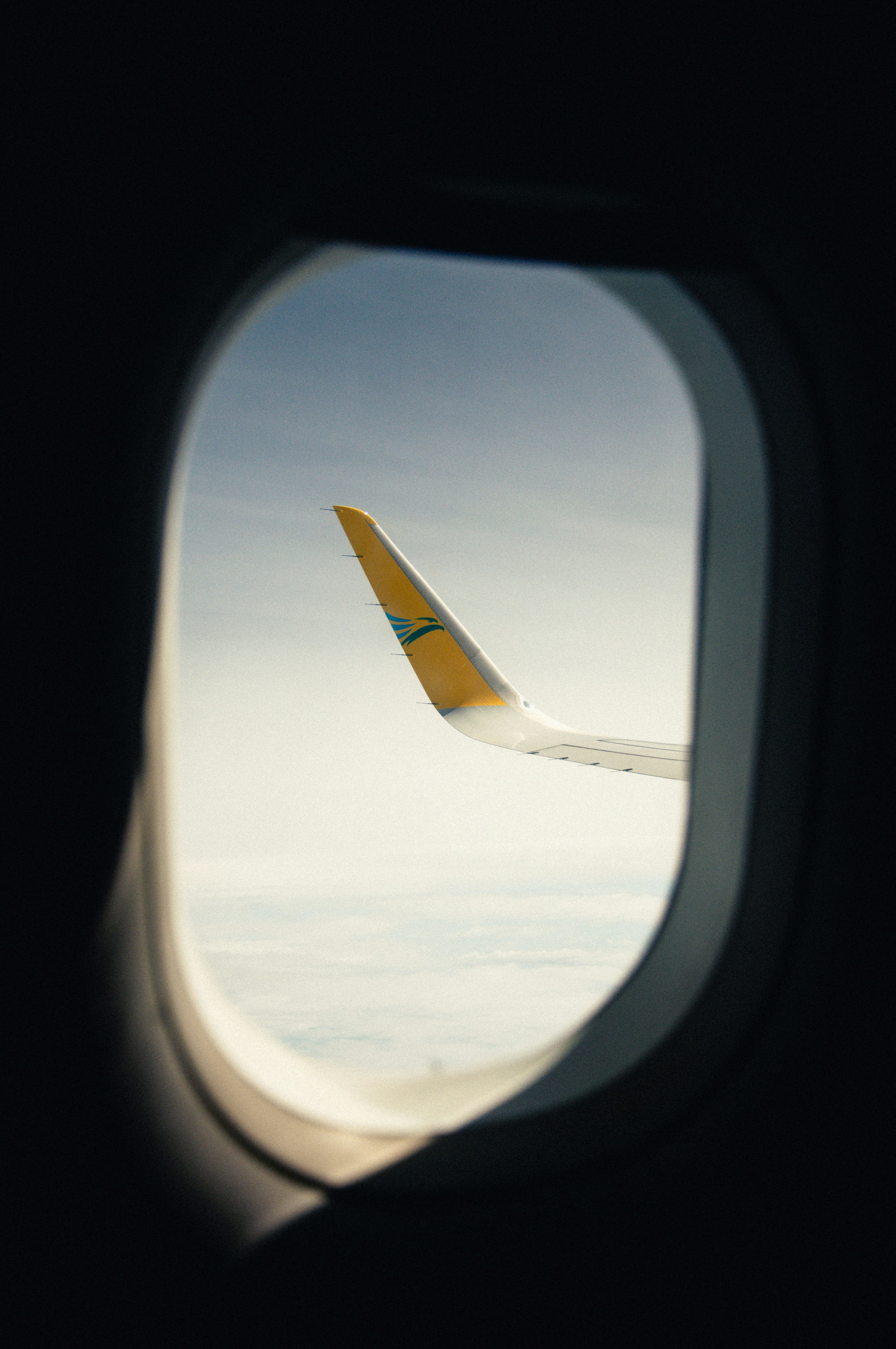 Airplane wing view from a window.