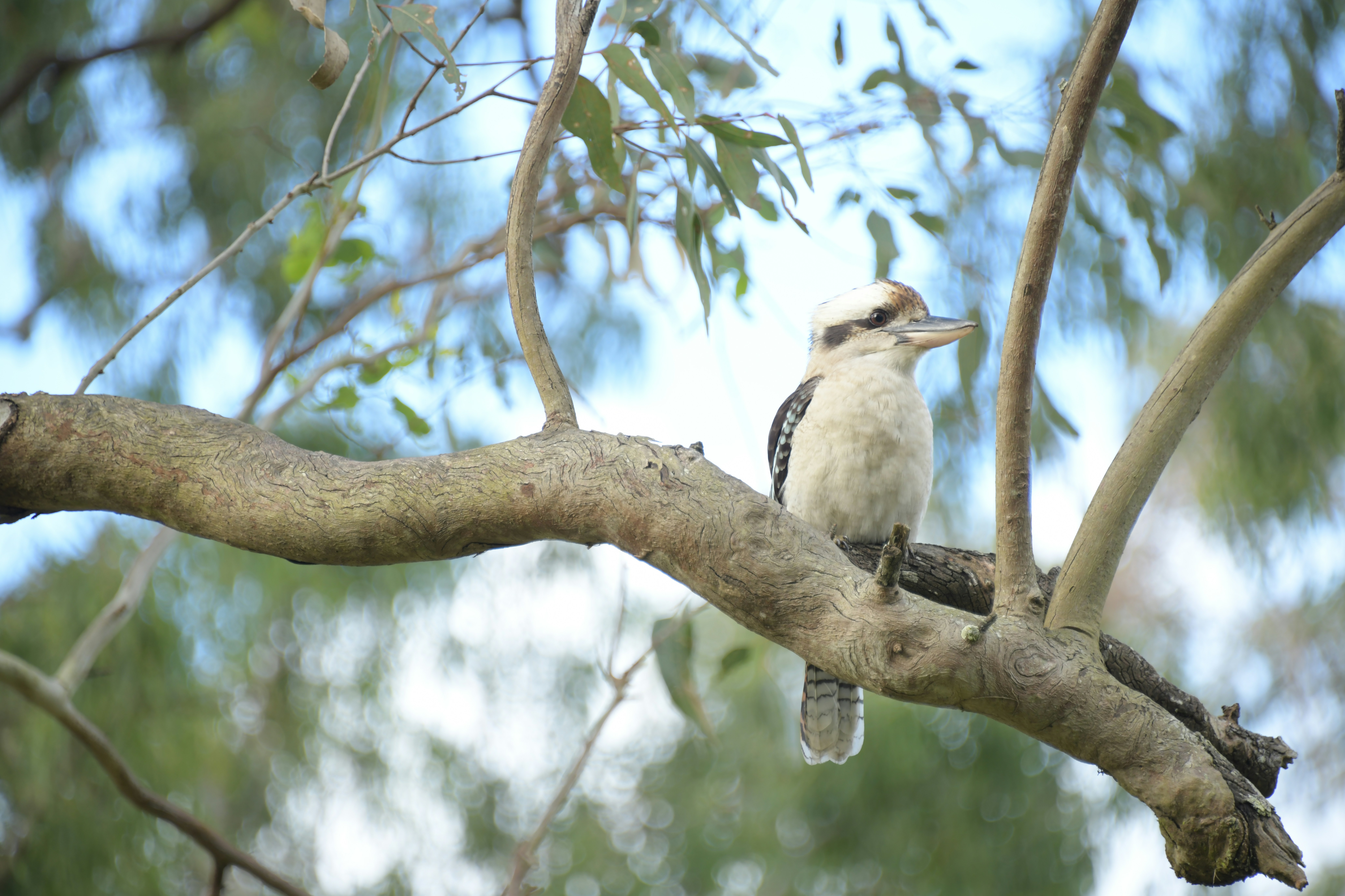 Photo by richard7seals