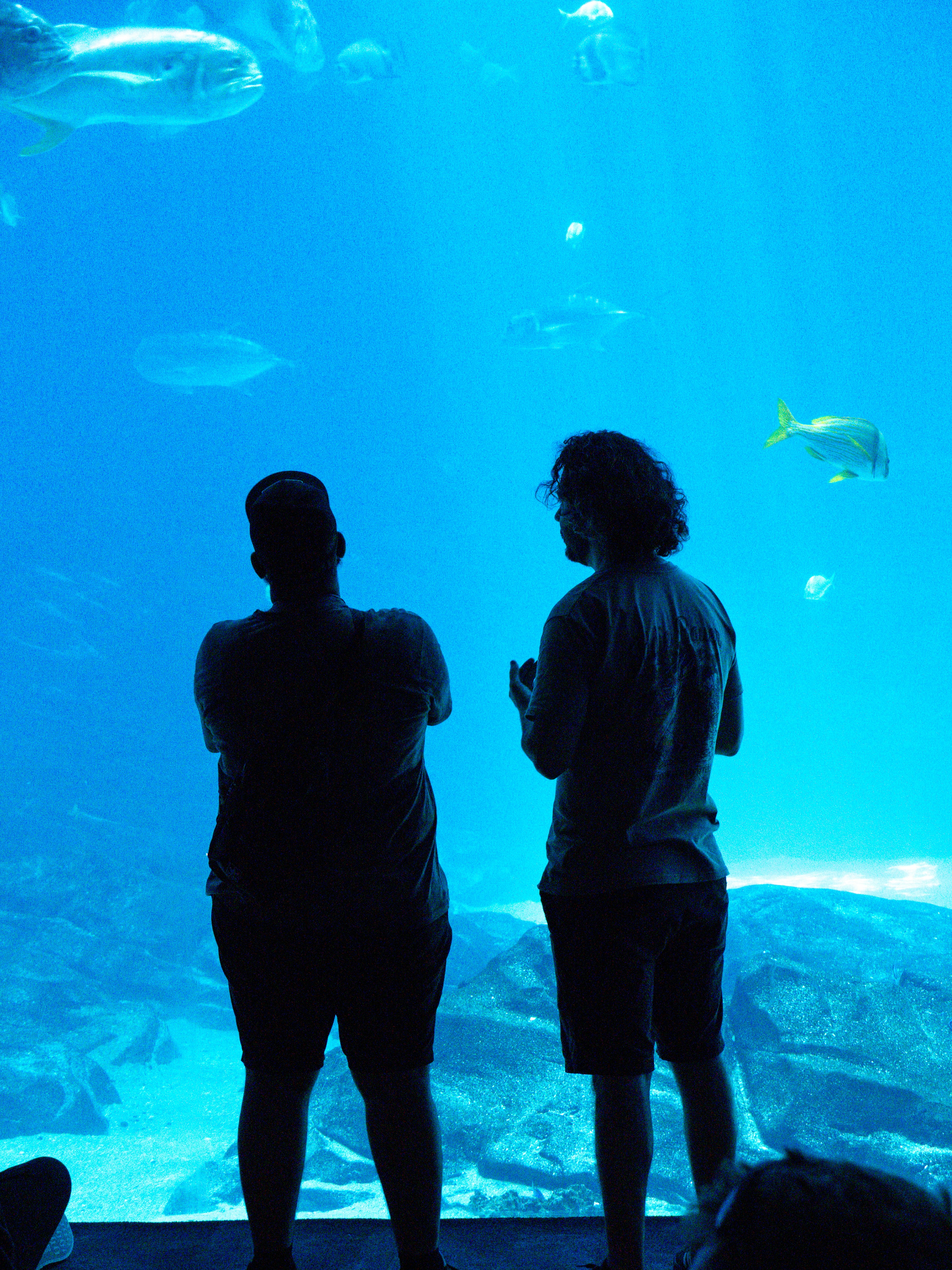水族館で魚を観察する2人。