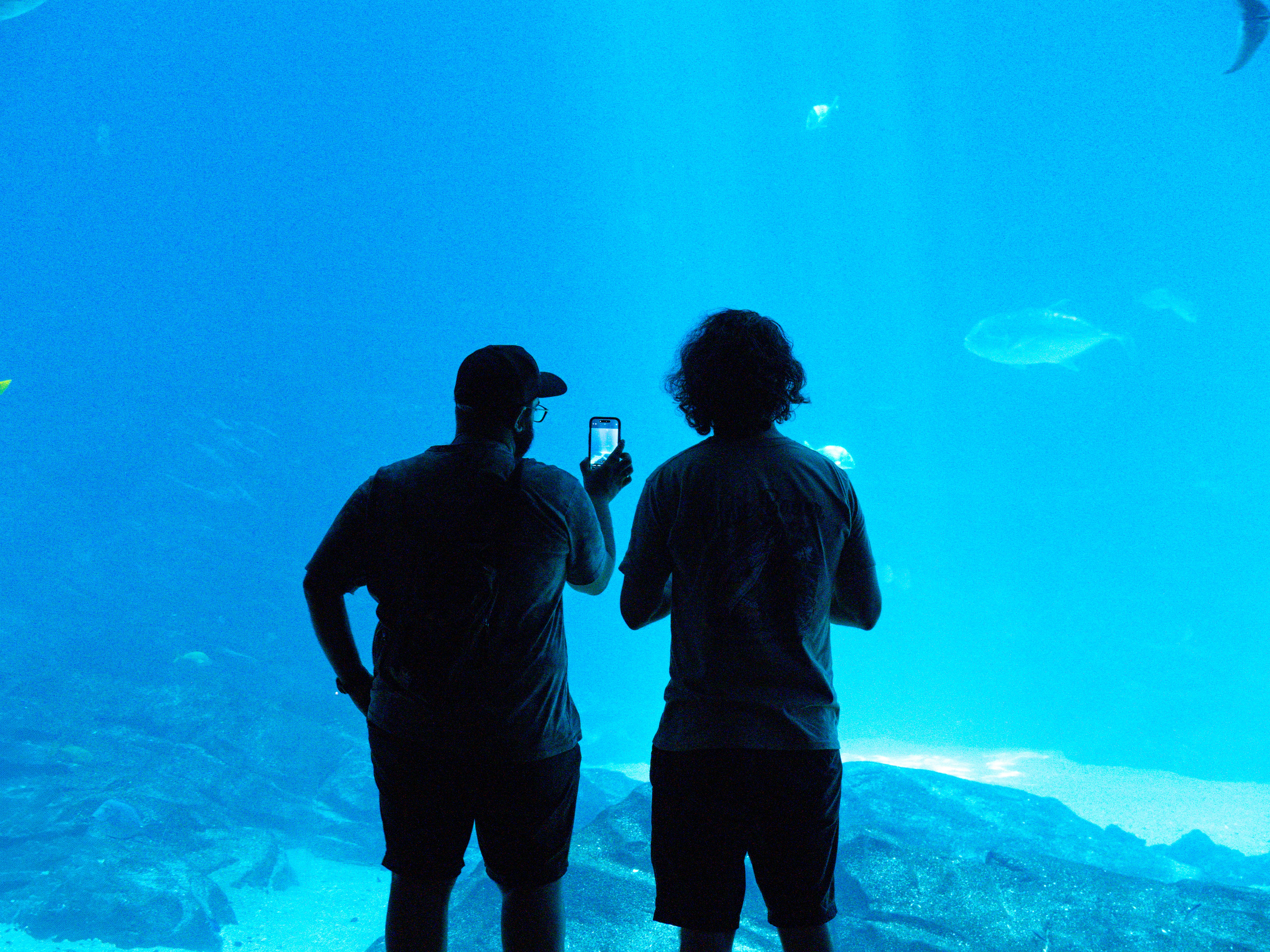 水族館で写真を撮る2人。