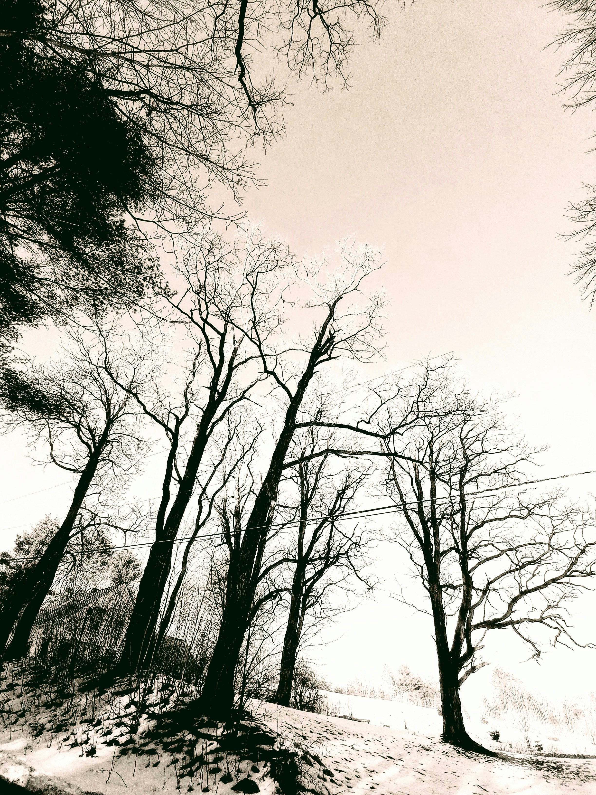 Photo by grimmie_and_ghostlie