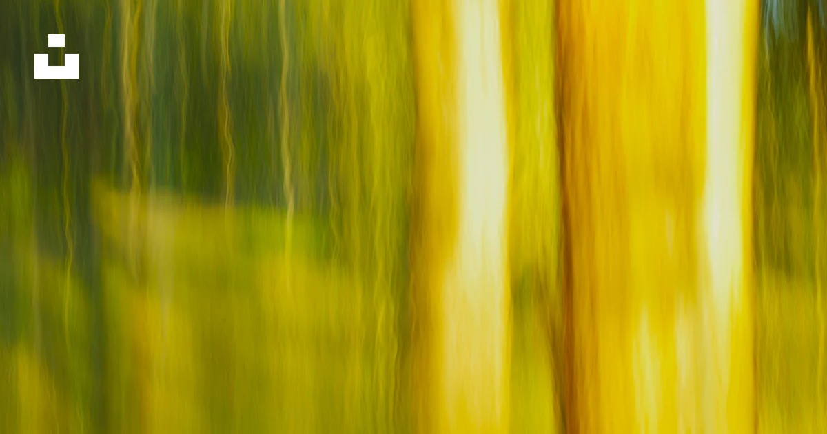 Blurred green and yellow abstract nature scene. photo – Free Color ...