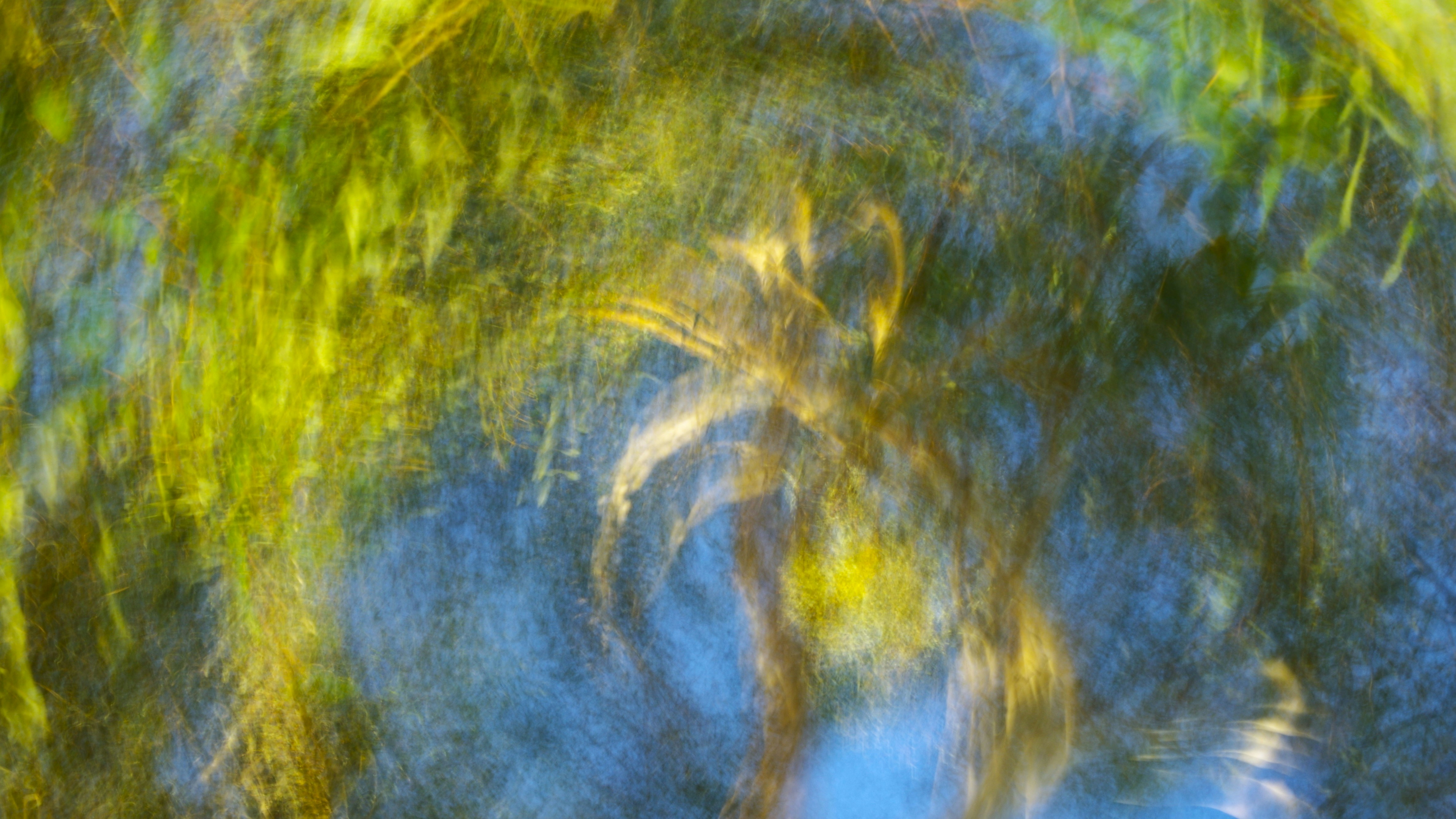 Photo by photoken123