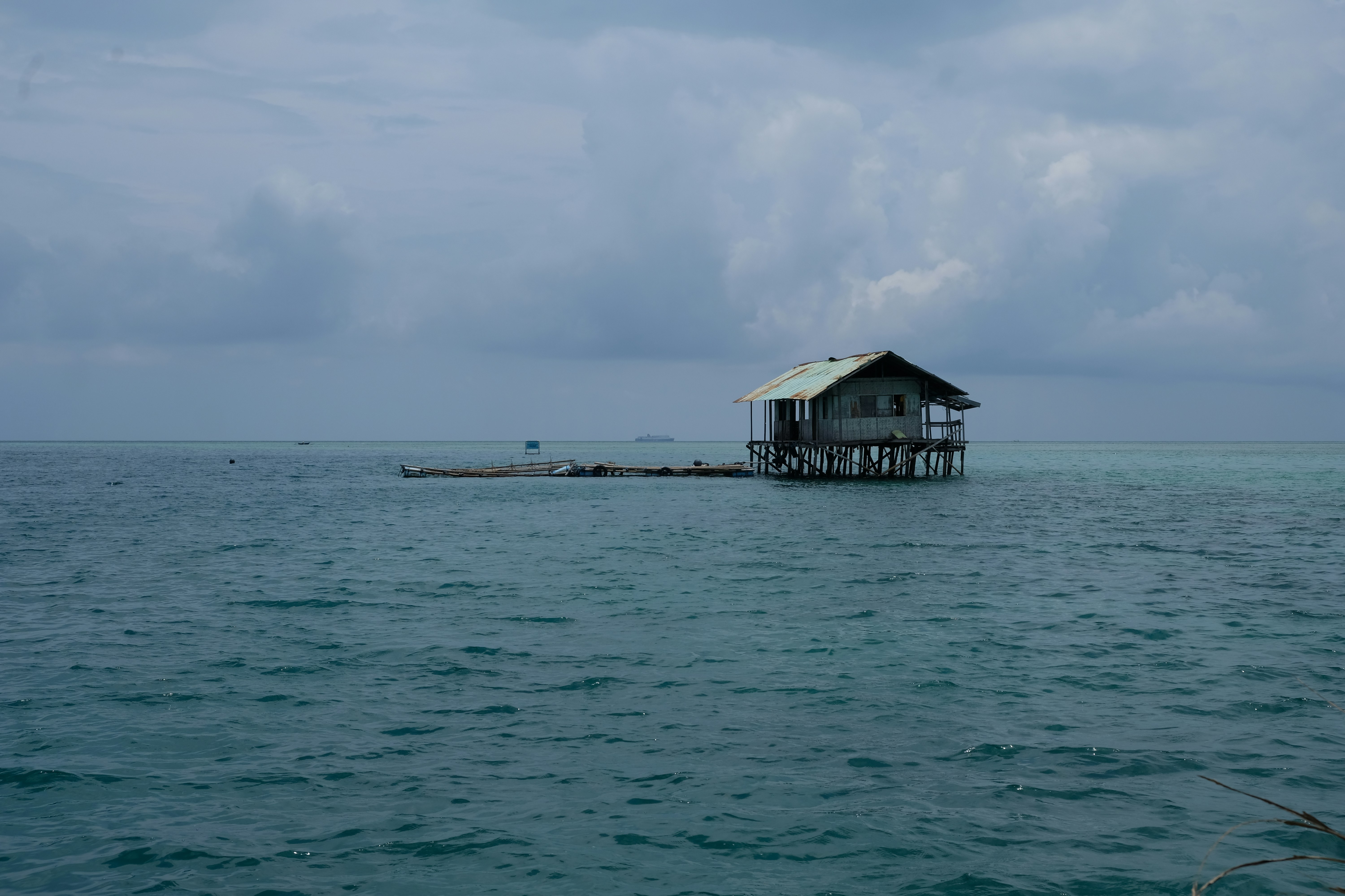 Photo by yossi_goldlust