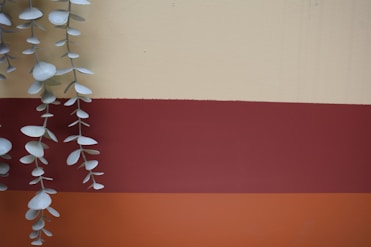 Hanging plant against a colorful, striped background.