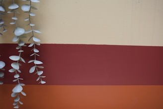 Hanging plant against a colorful, striped background.