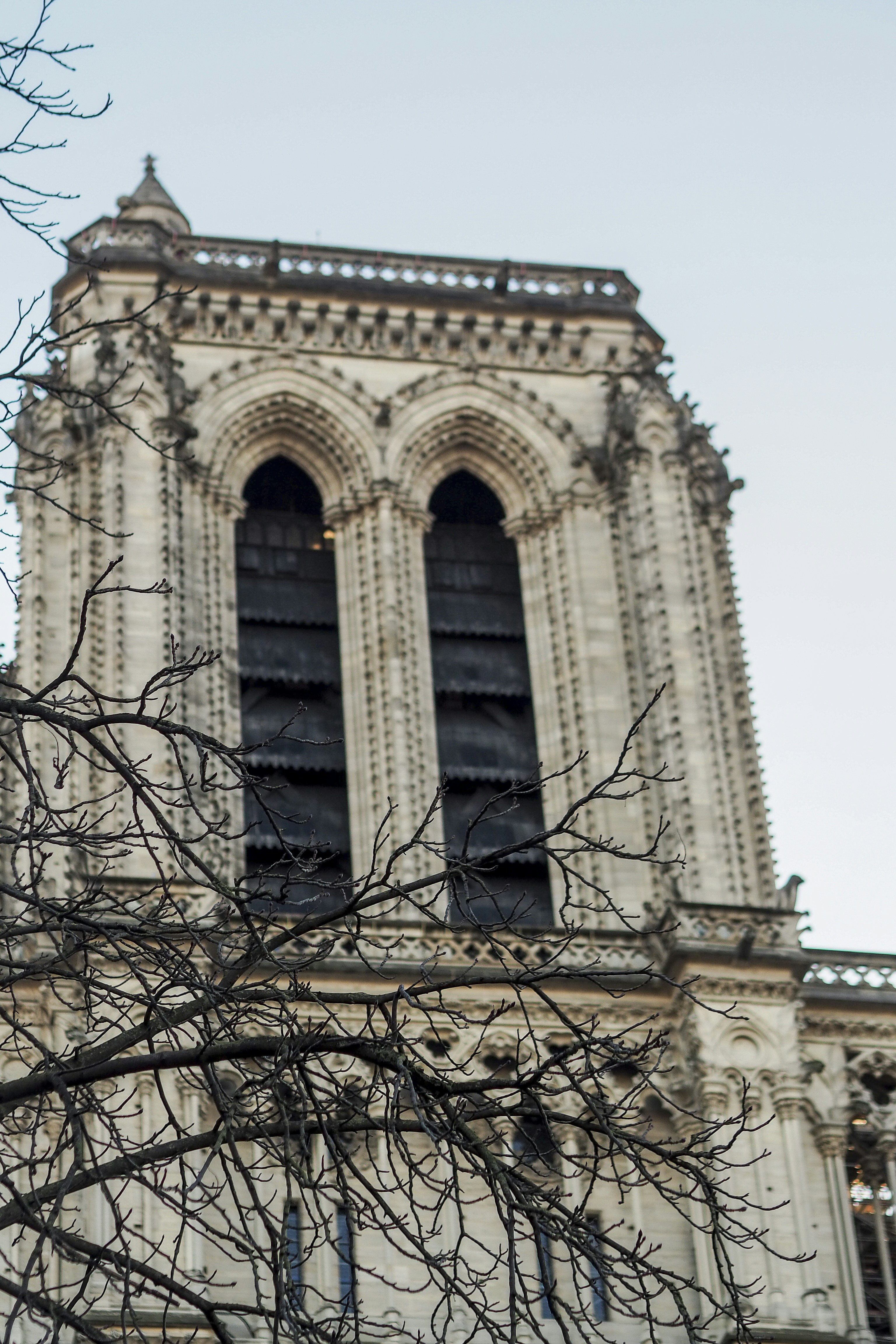 Photo by laurachouette