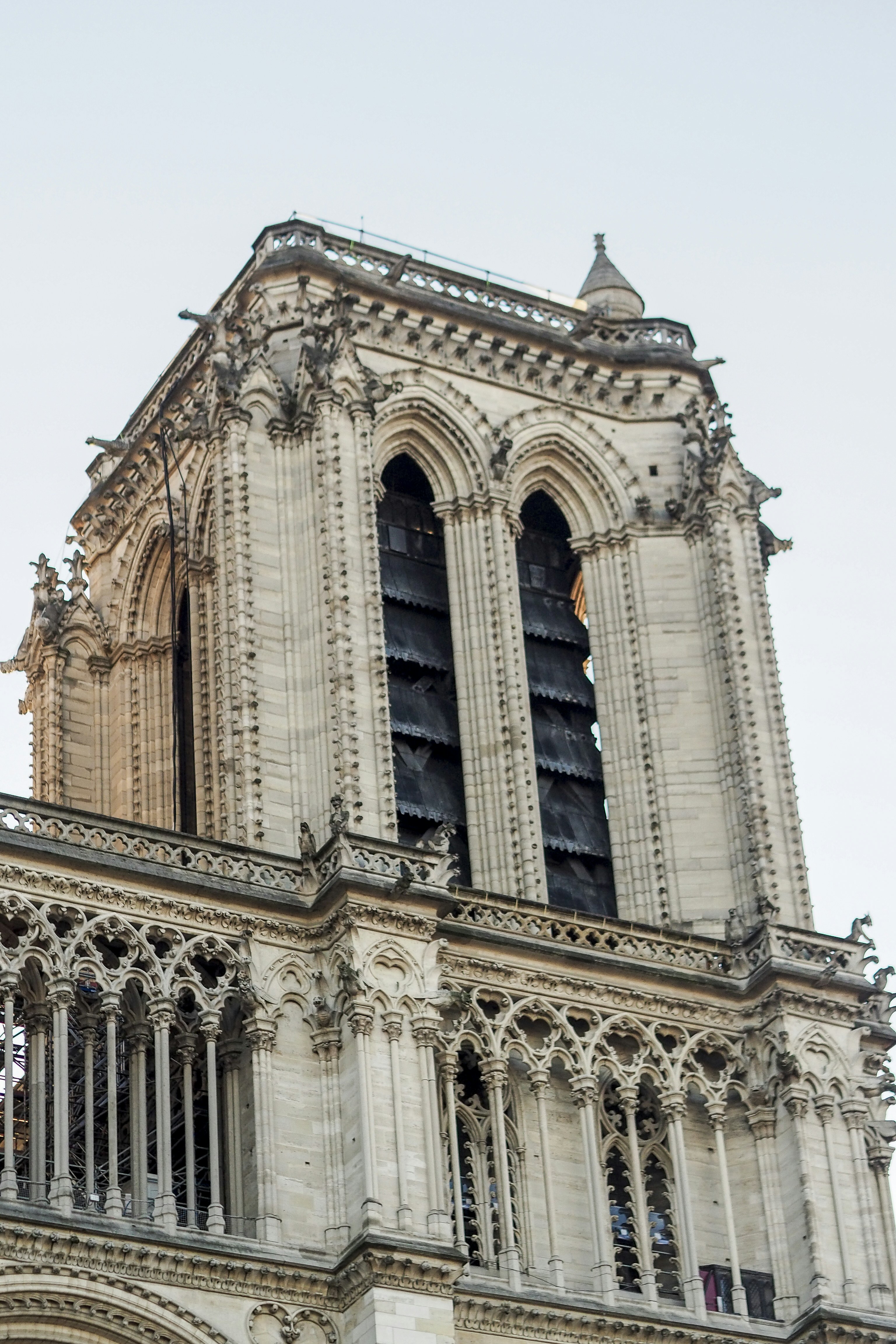 Photo by laurachouette