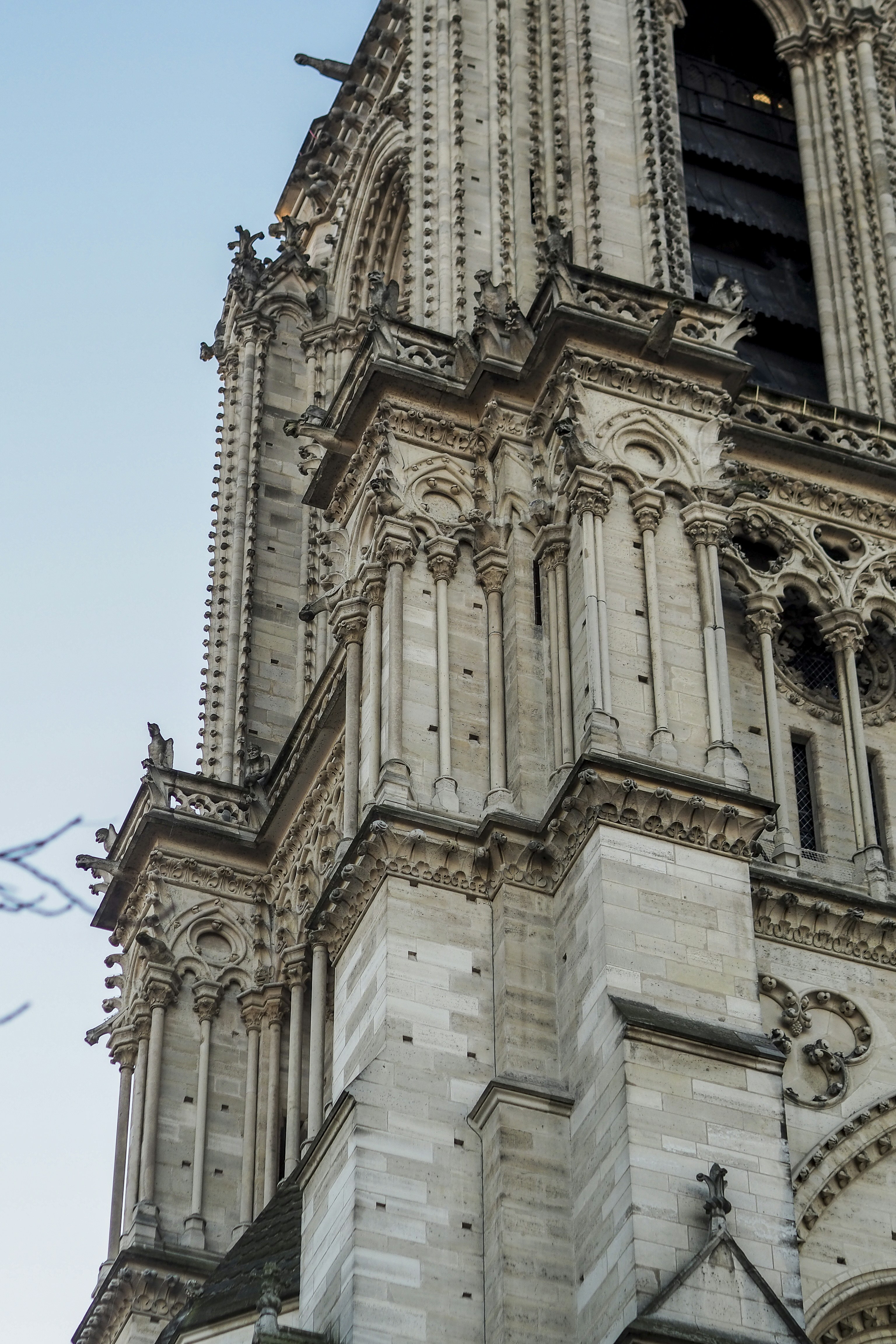 Photo by laurachouette