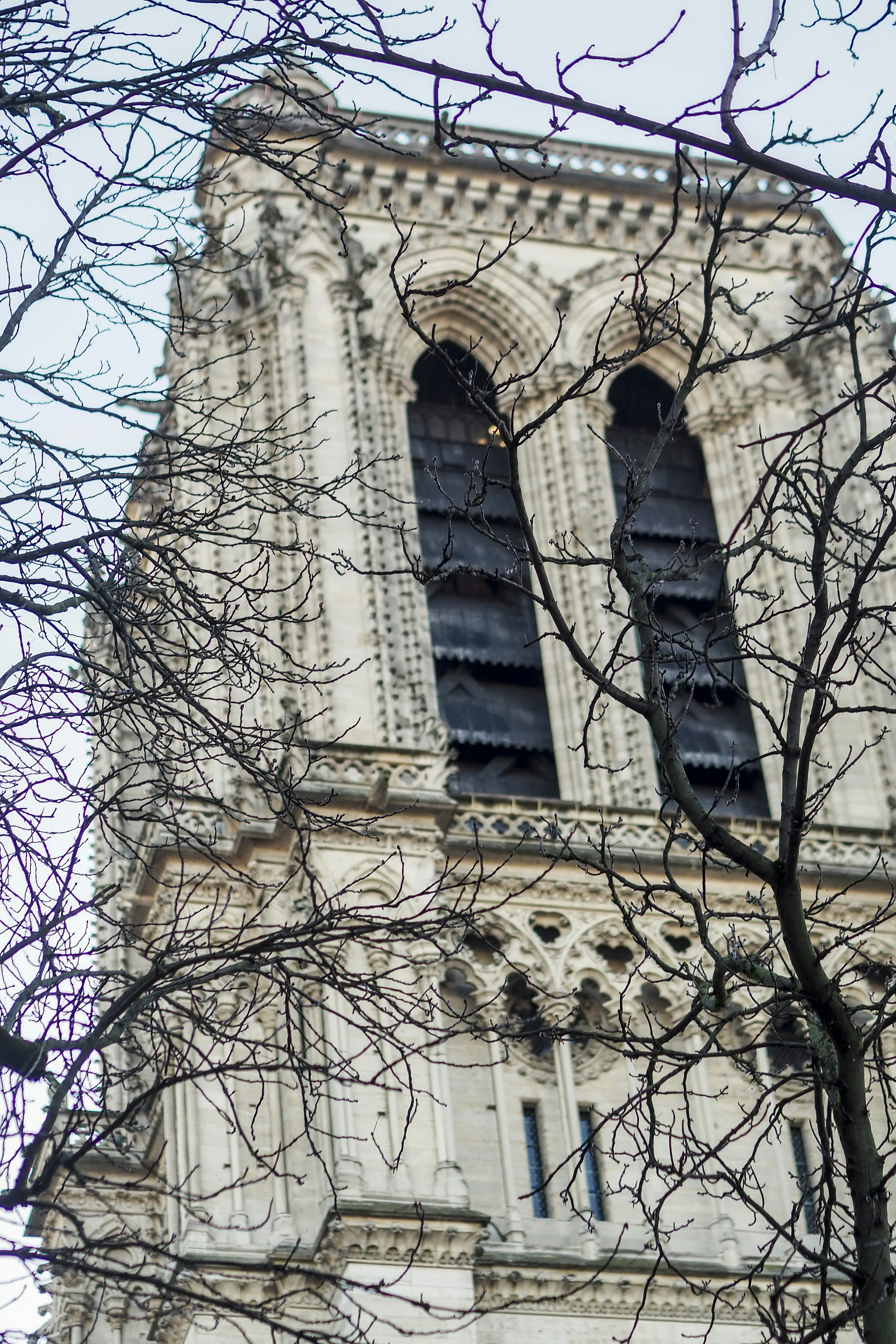 Photo by laurachouette