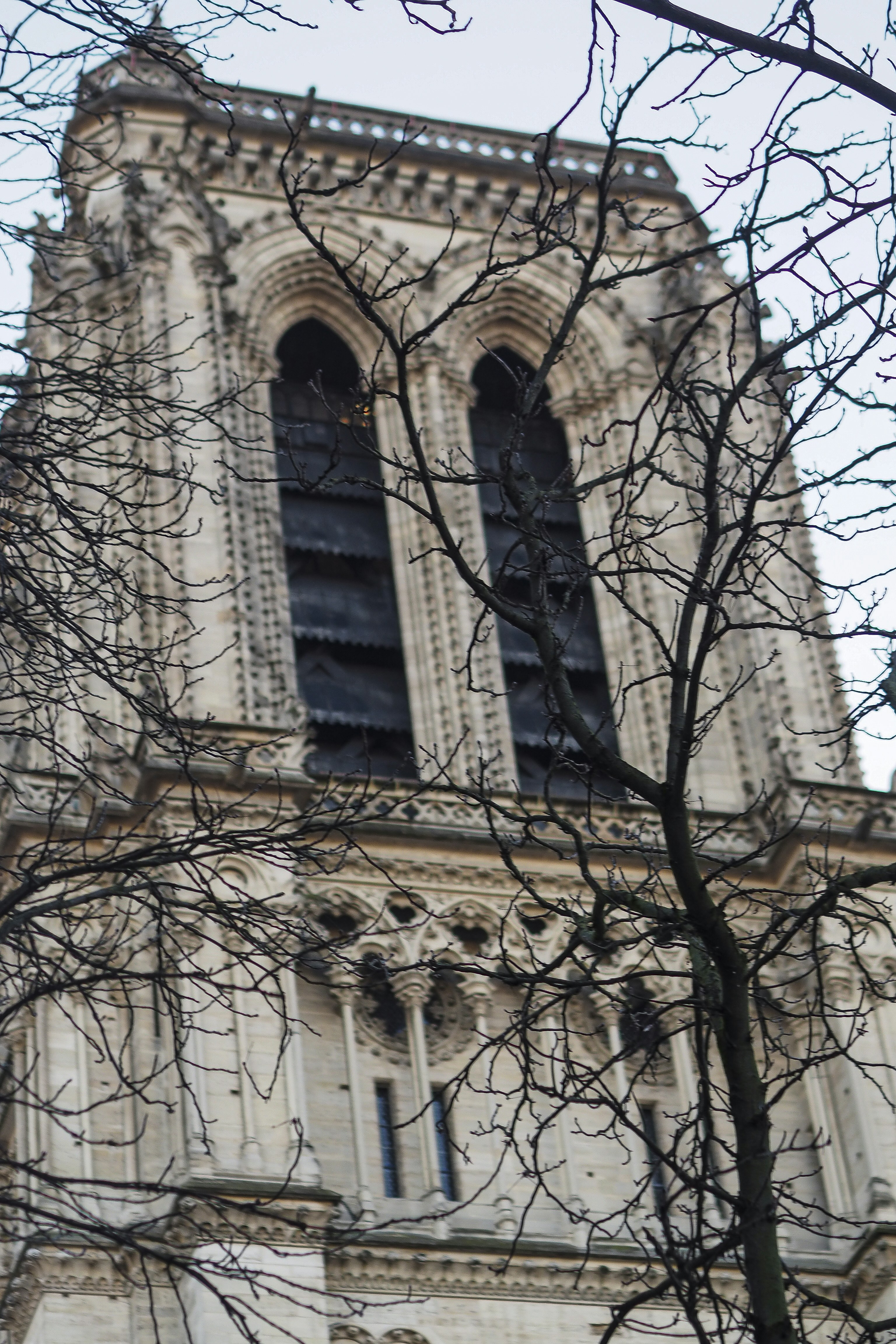 Photo by laurachouette