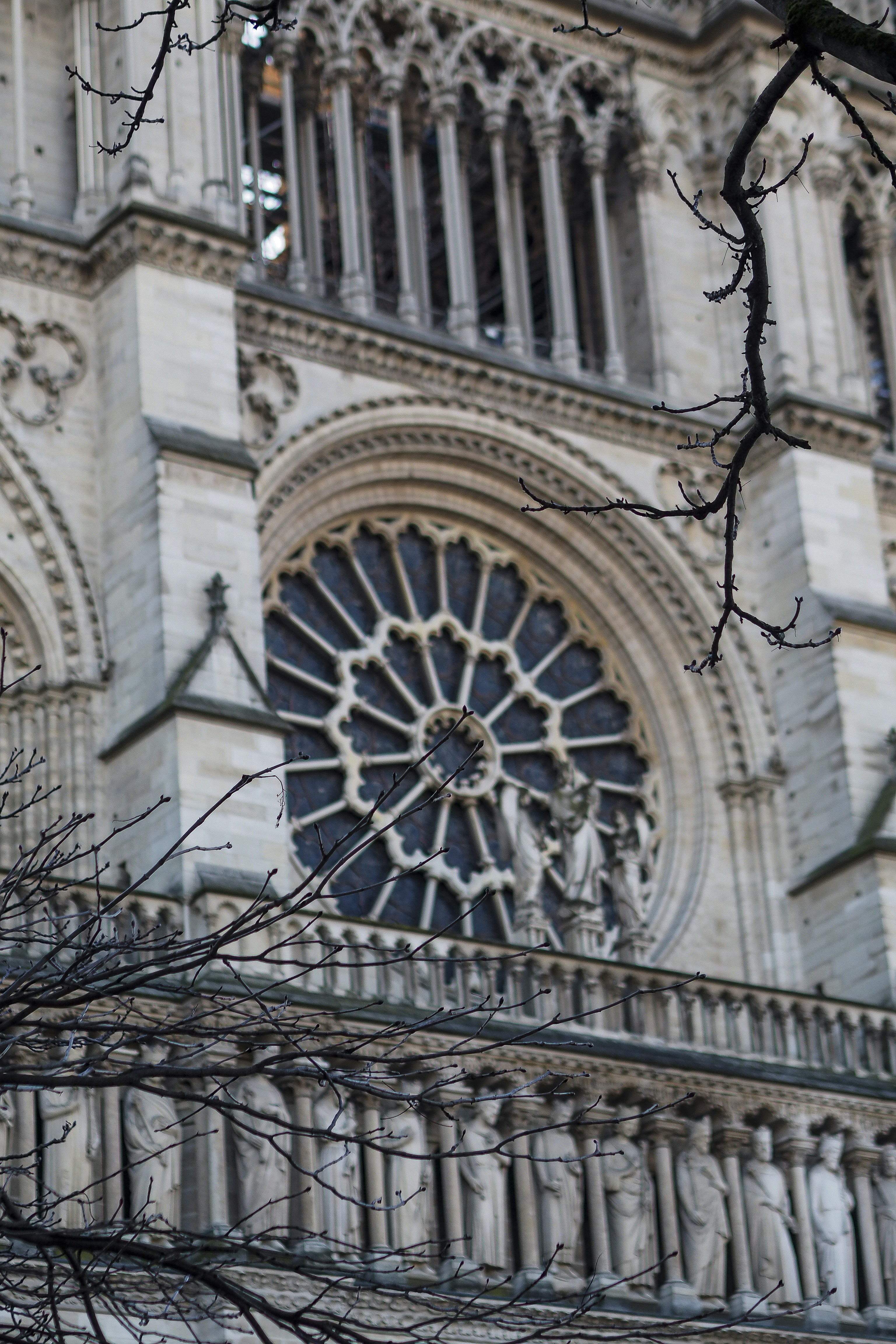 Photo by laurachouette