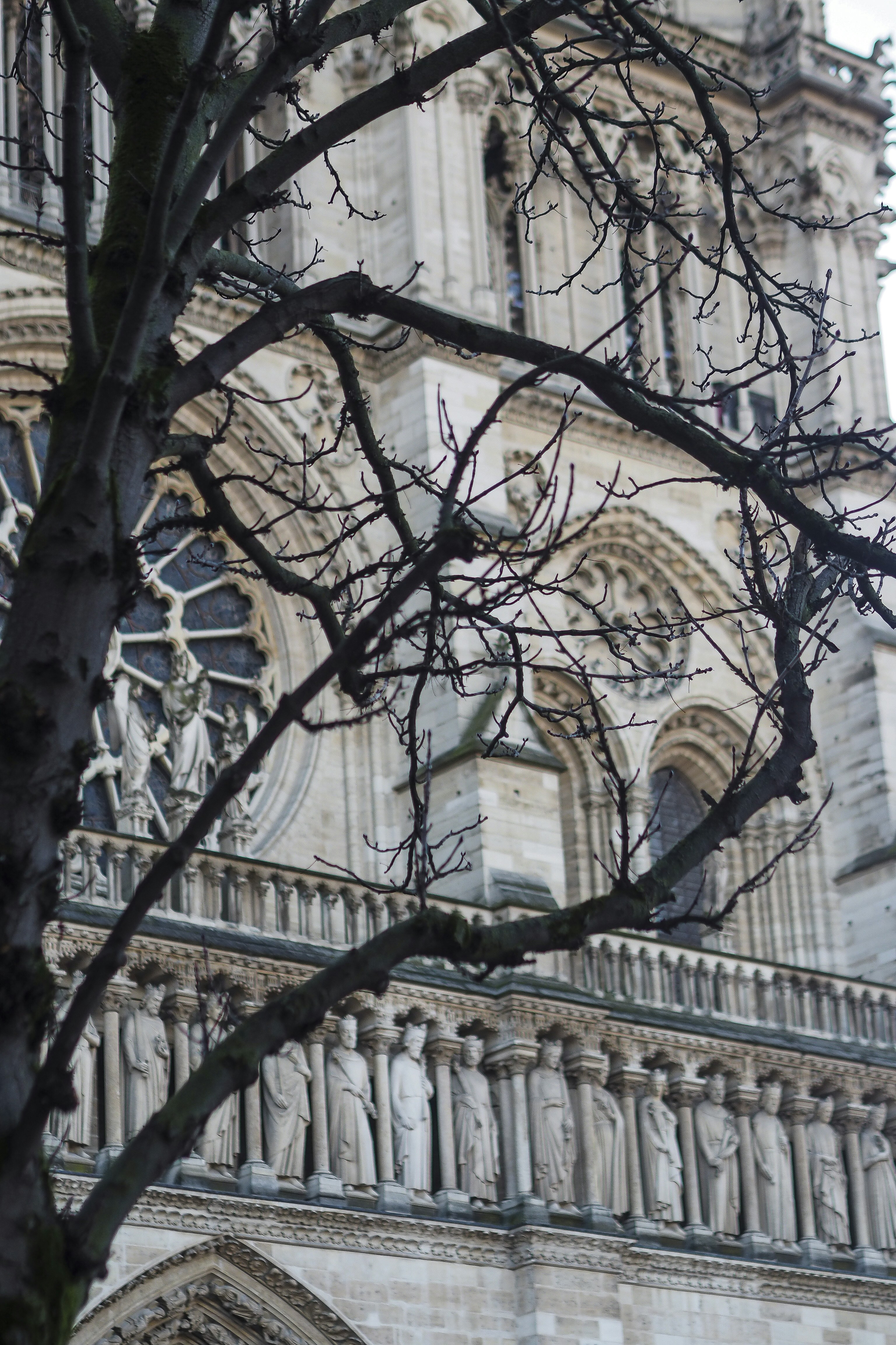 Photo by laurachouette