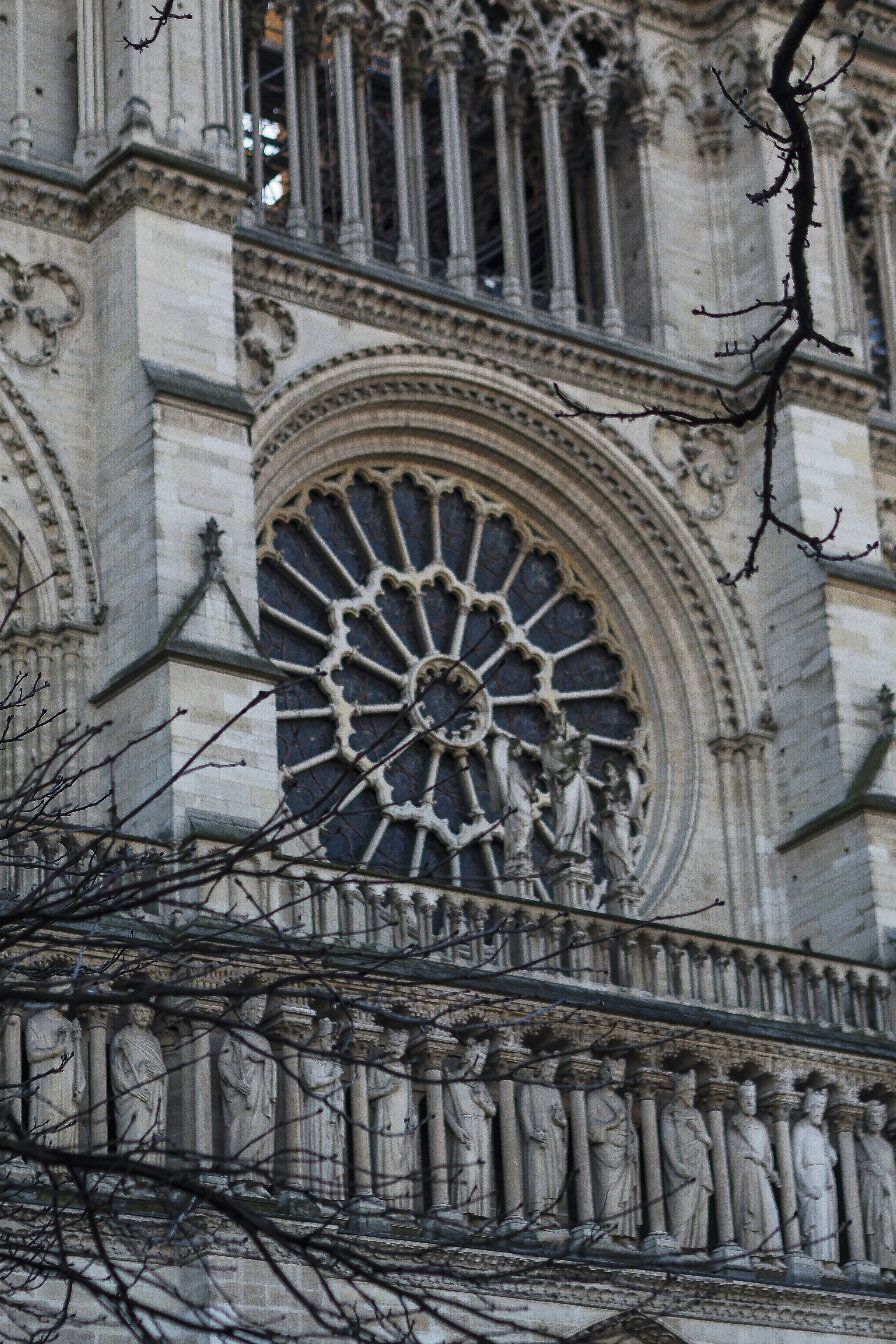 Photo by laurachouette