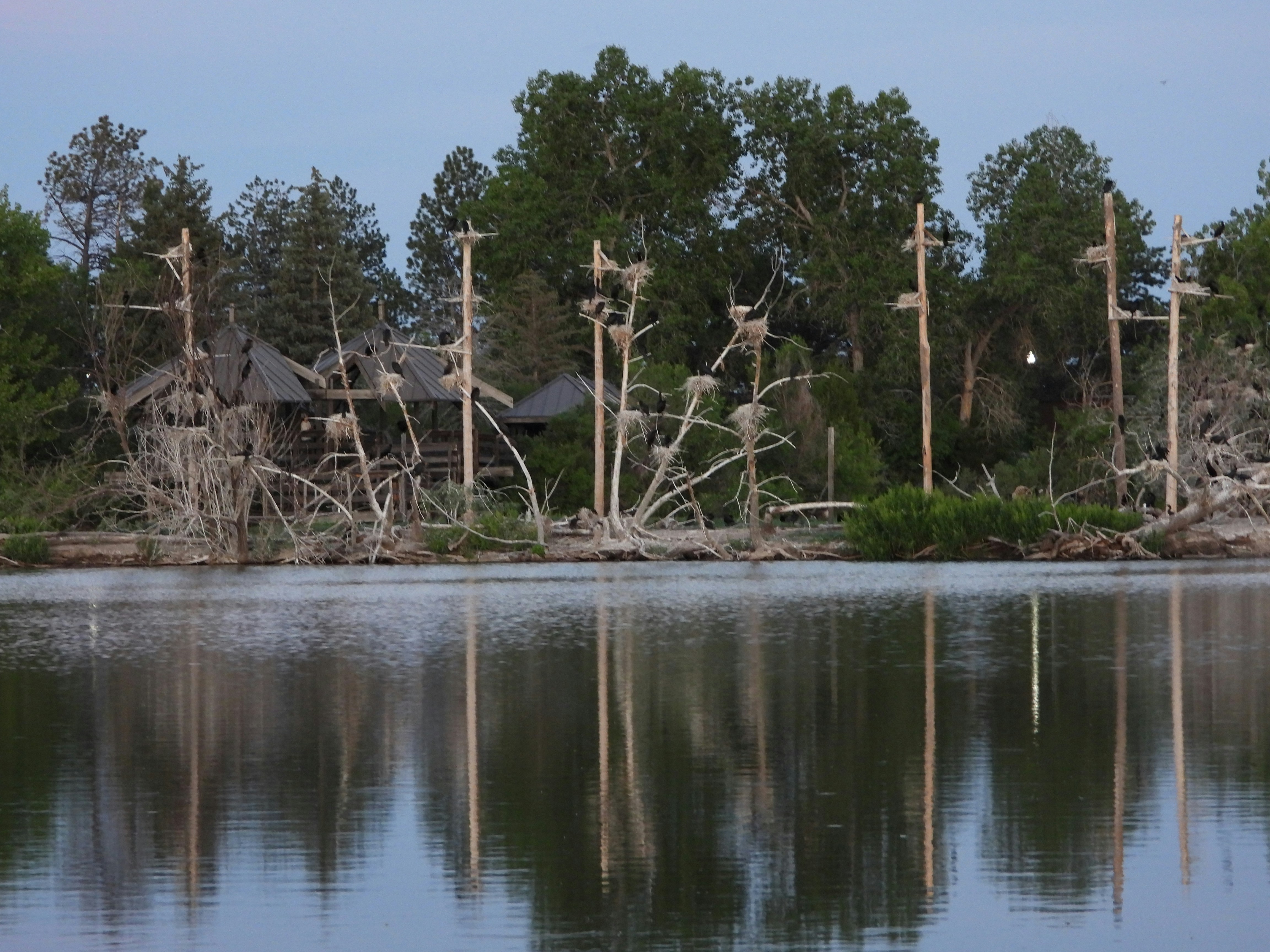 Stop image for Bozeman & Gallatin National Forest: 2-Day Family Nature Loop - Wooden poles reflect in still water at dusk. -  in Rocky Mountains & Northern Rockies - Photo by christie greene on Unsplash