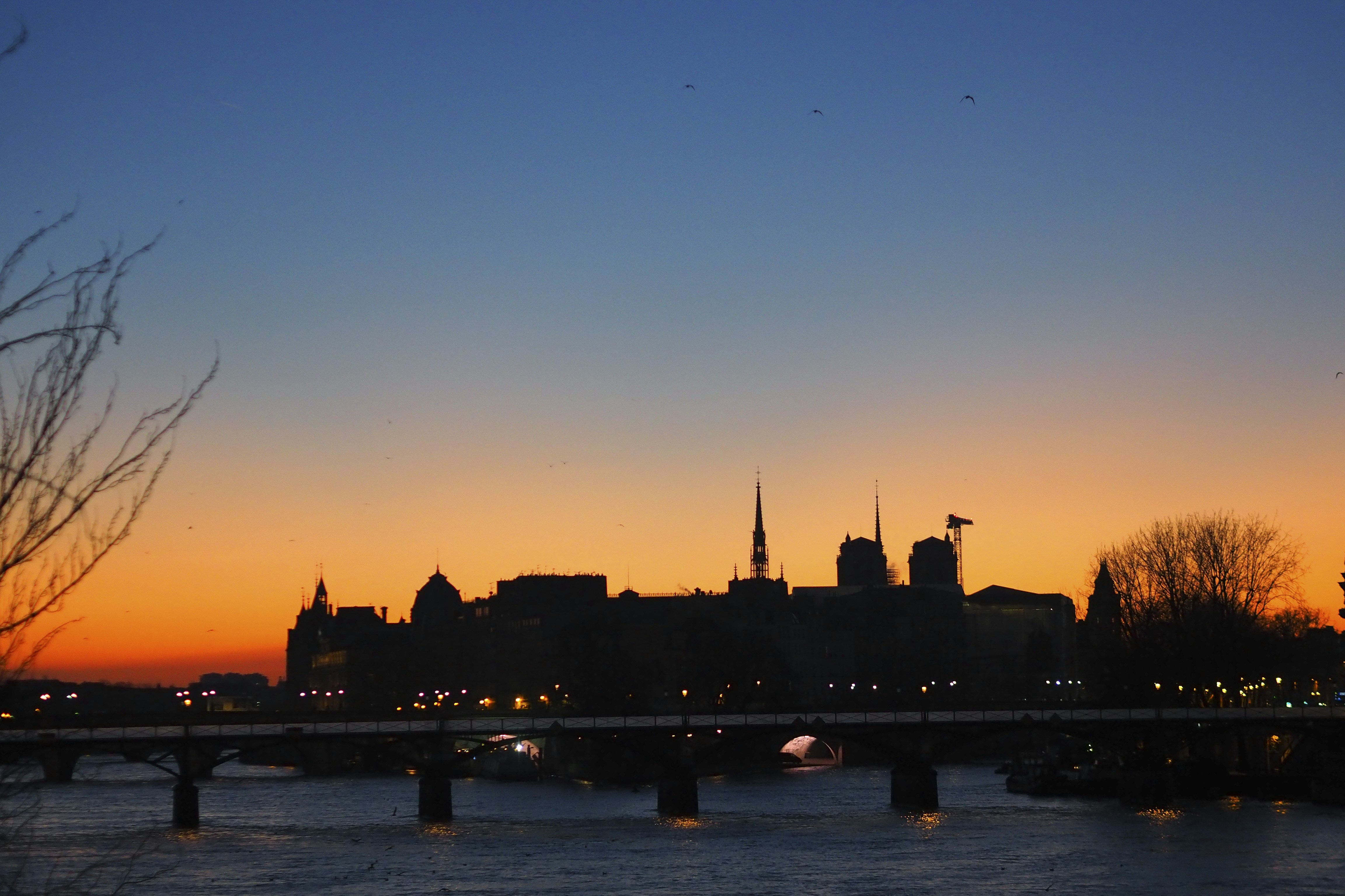 Photo by laurachouette