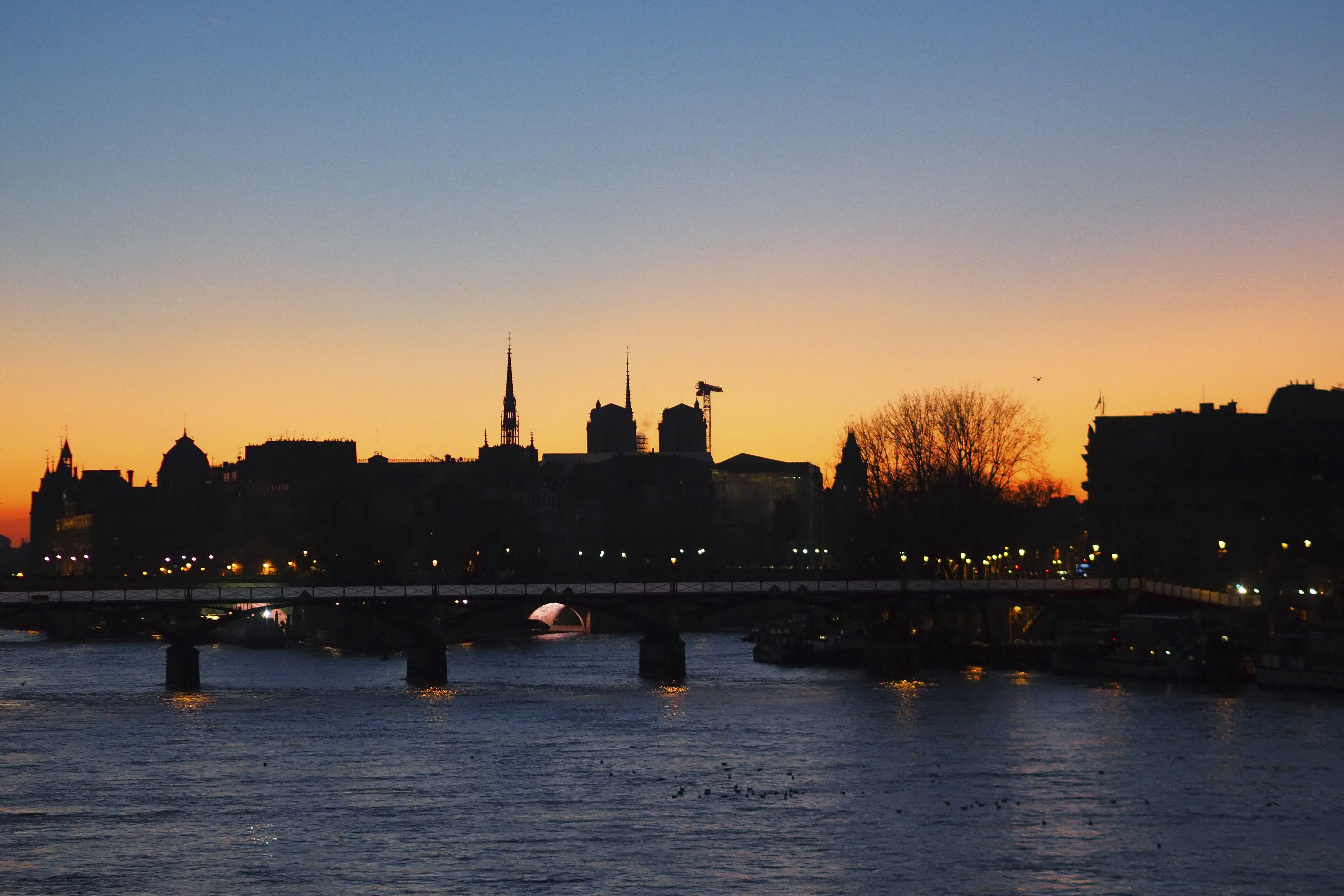 Photo by laurachouette