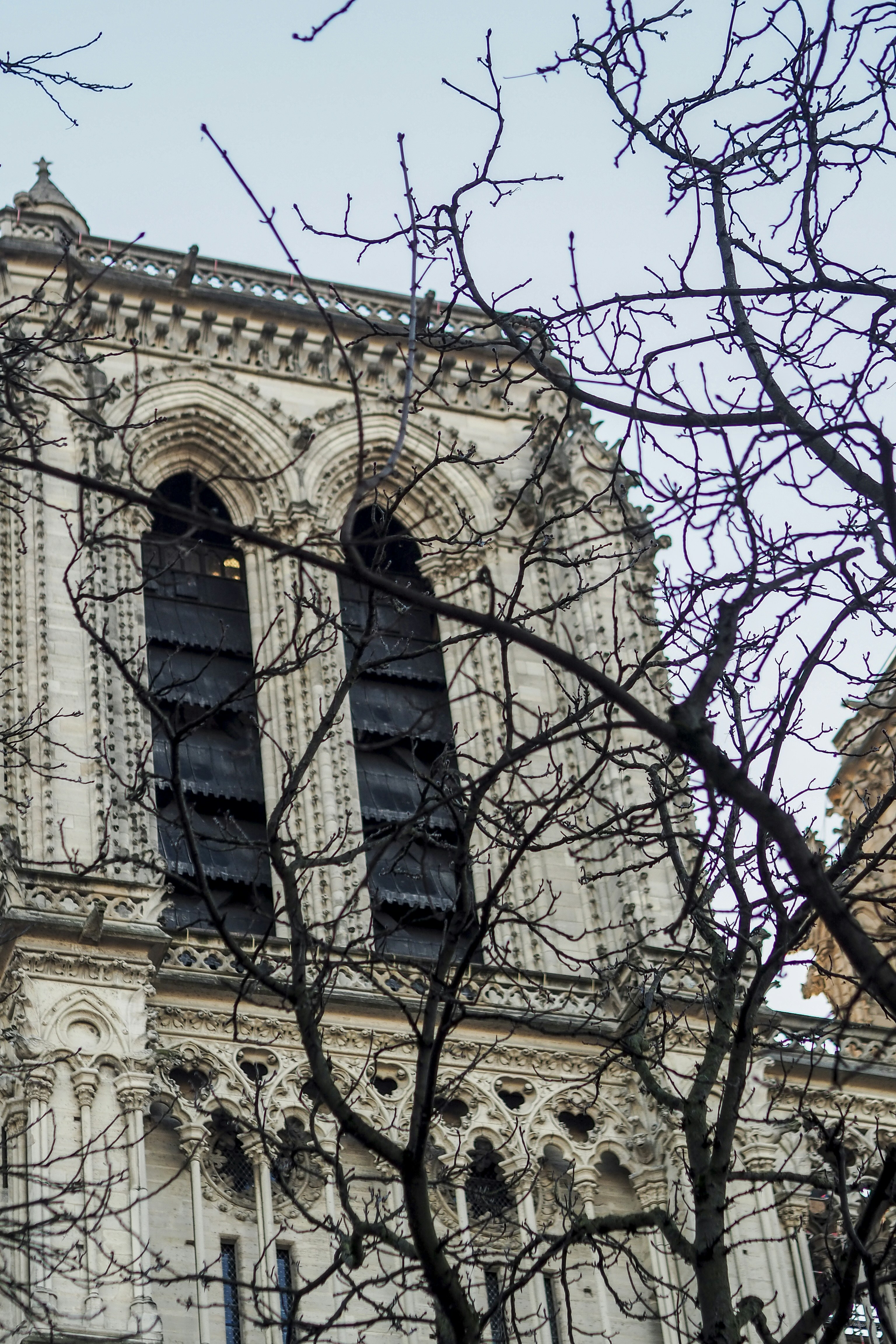 Photo by laurachouette