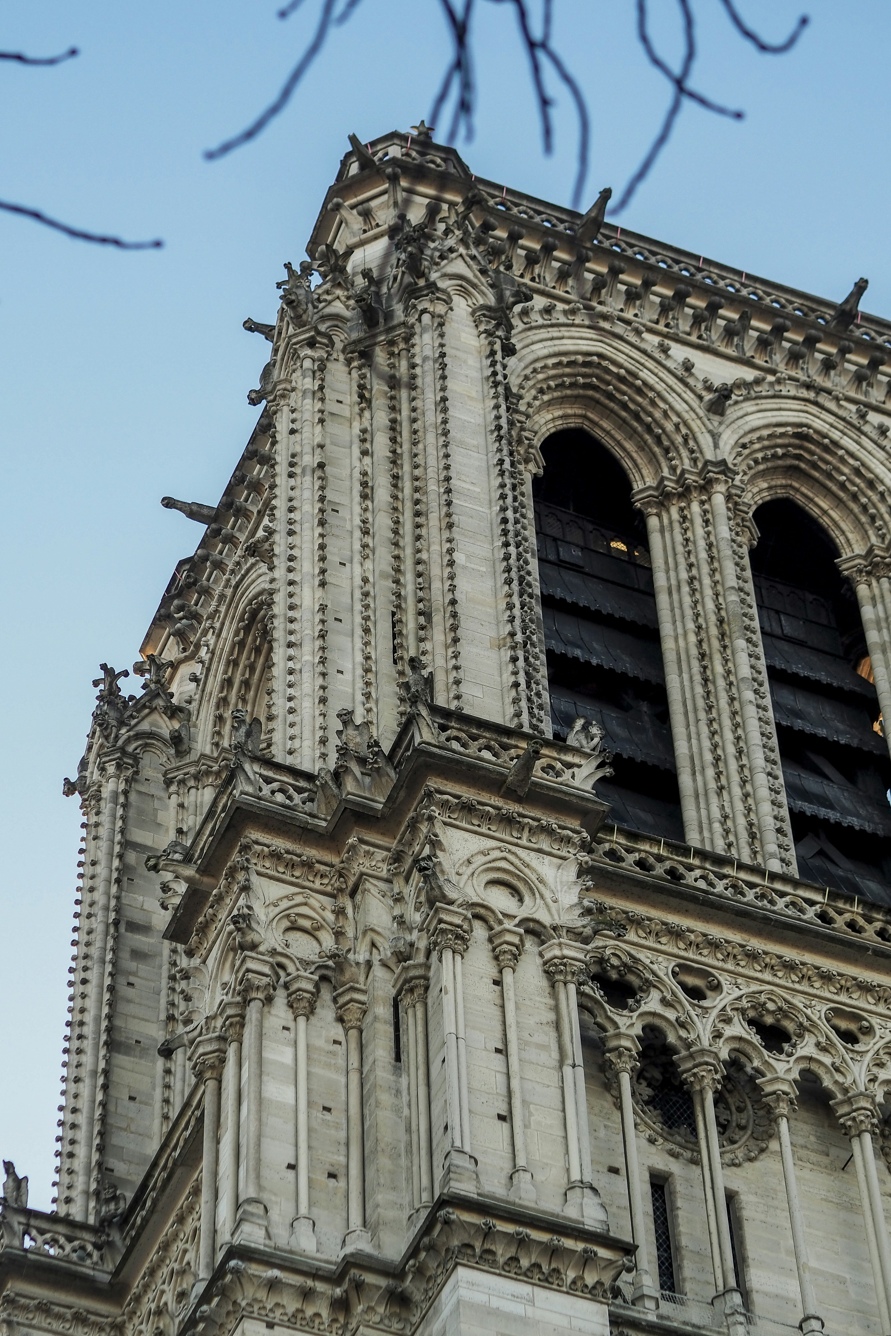 Photo by laurachouette