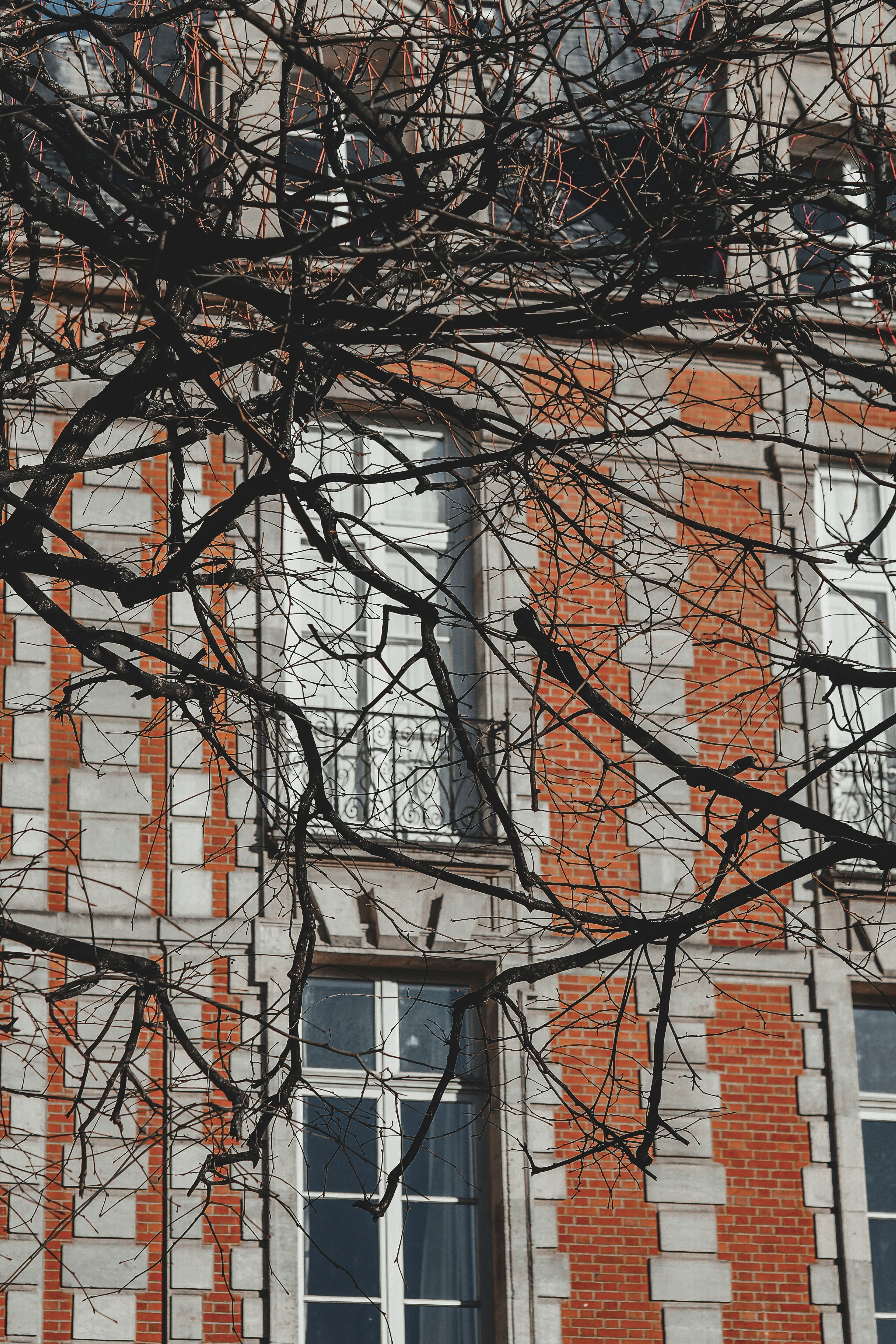 Photo by laurachouette