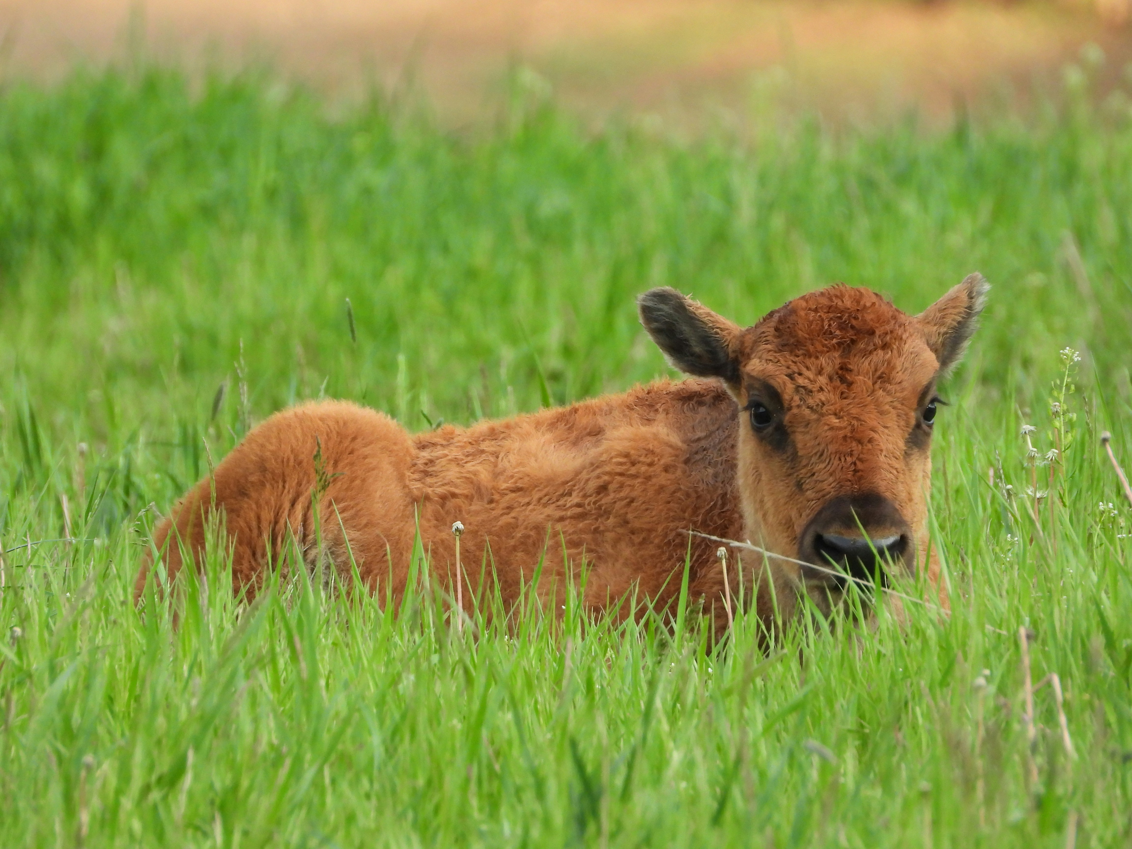 Photo by evergreene24