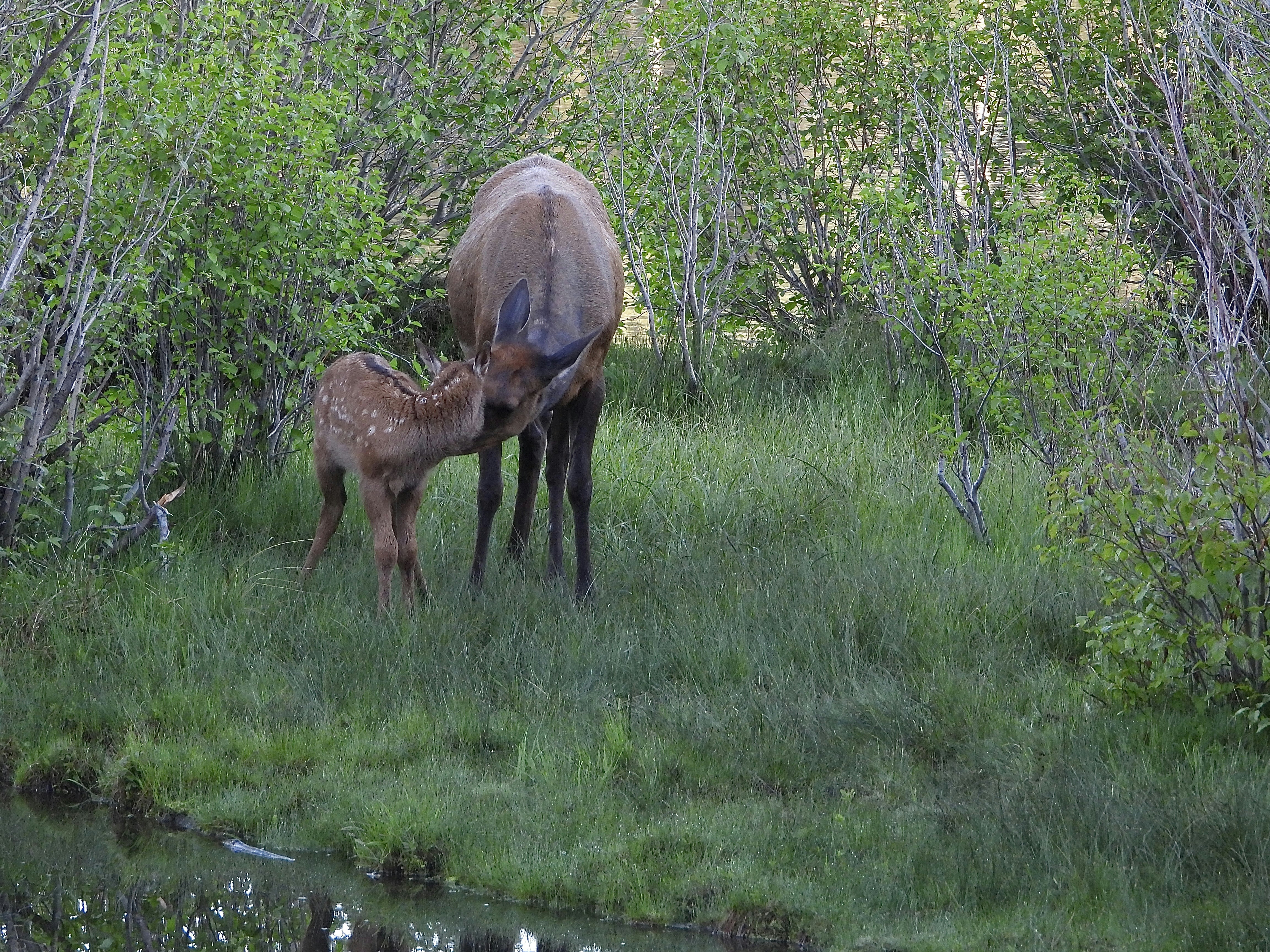 Photo by evergreene24