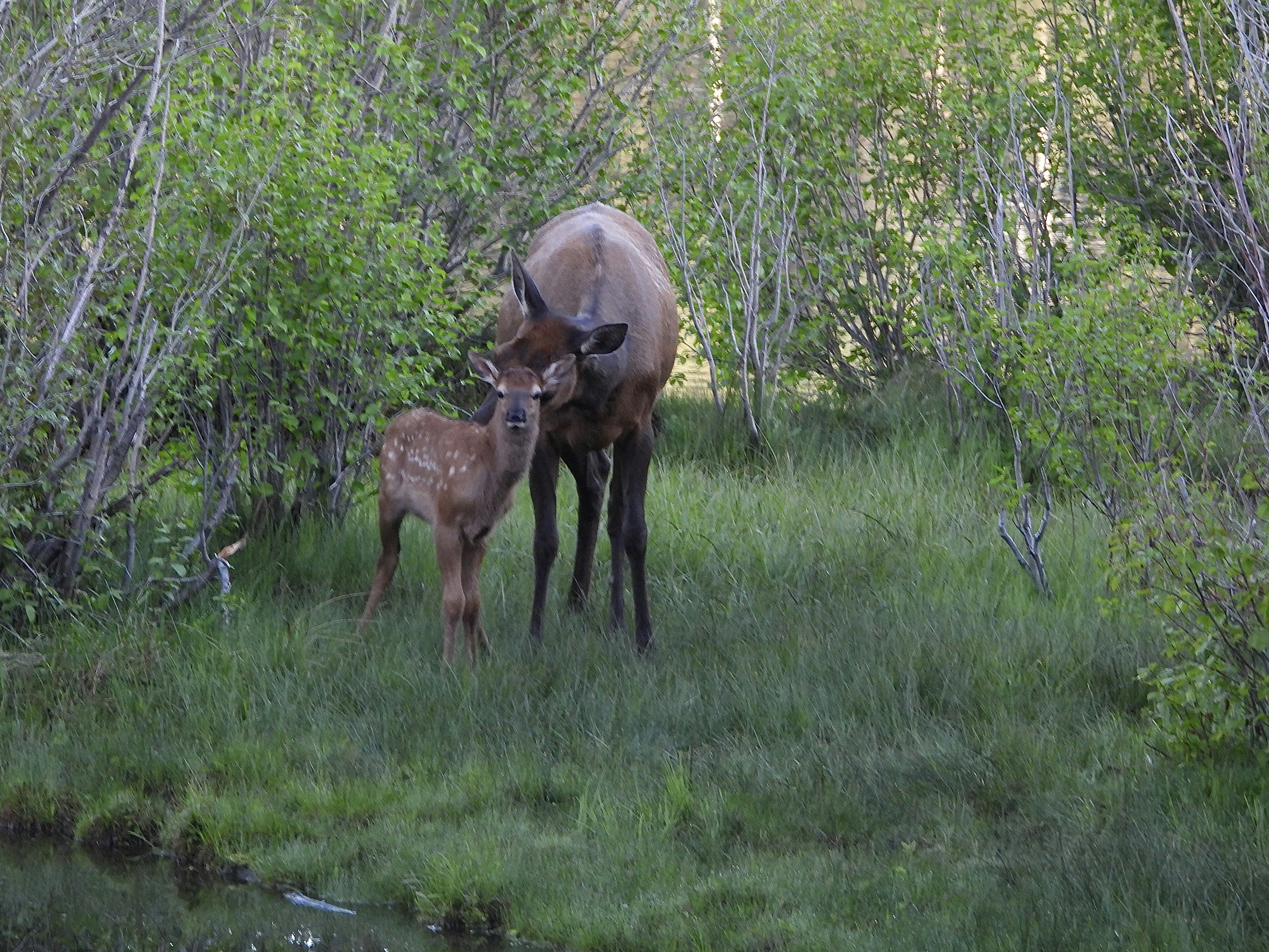 Photo by evergreene24