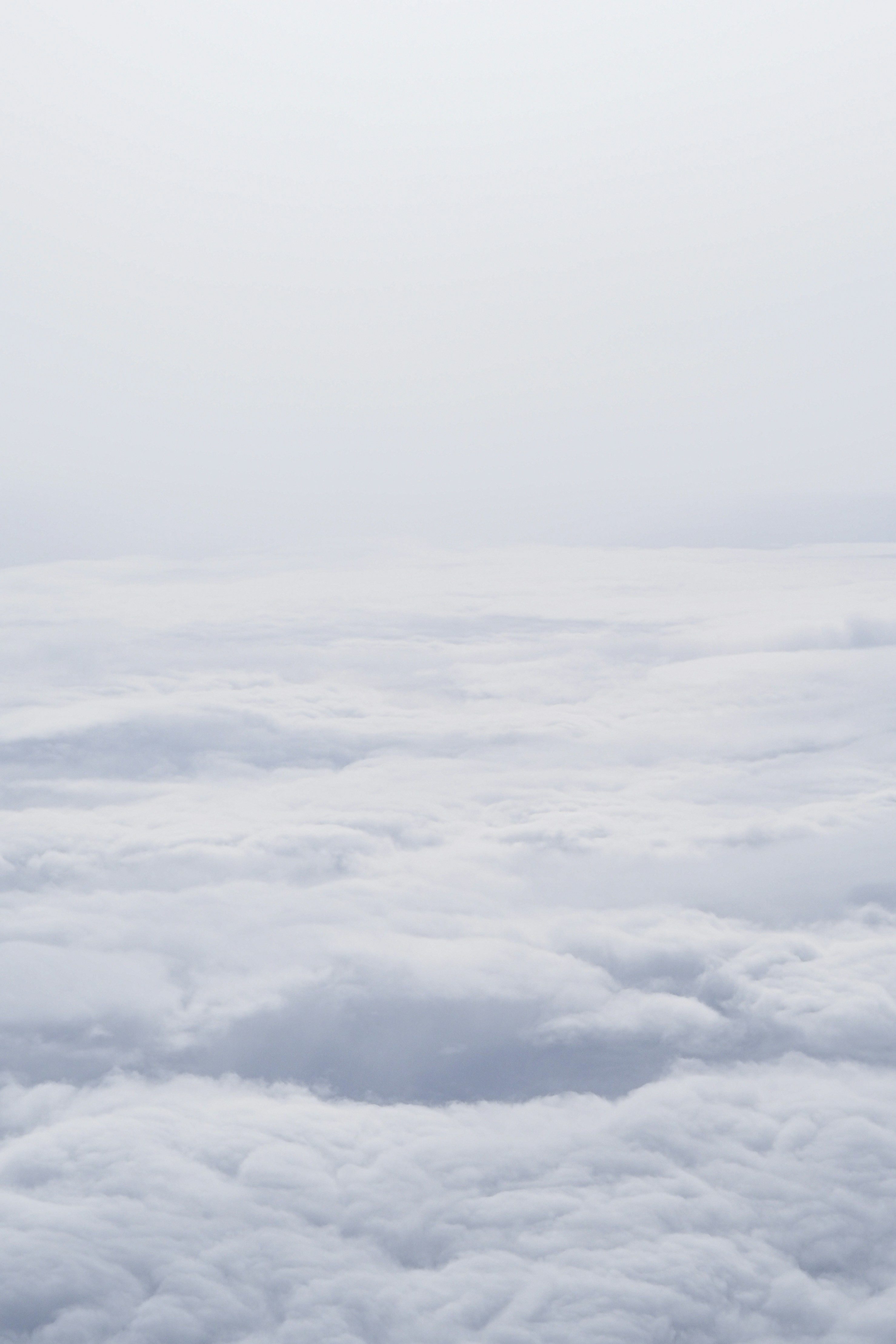 Photo by laurachouette