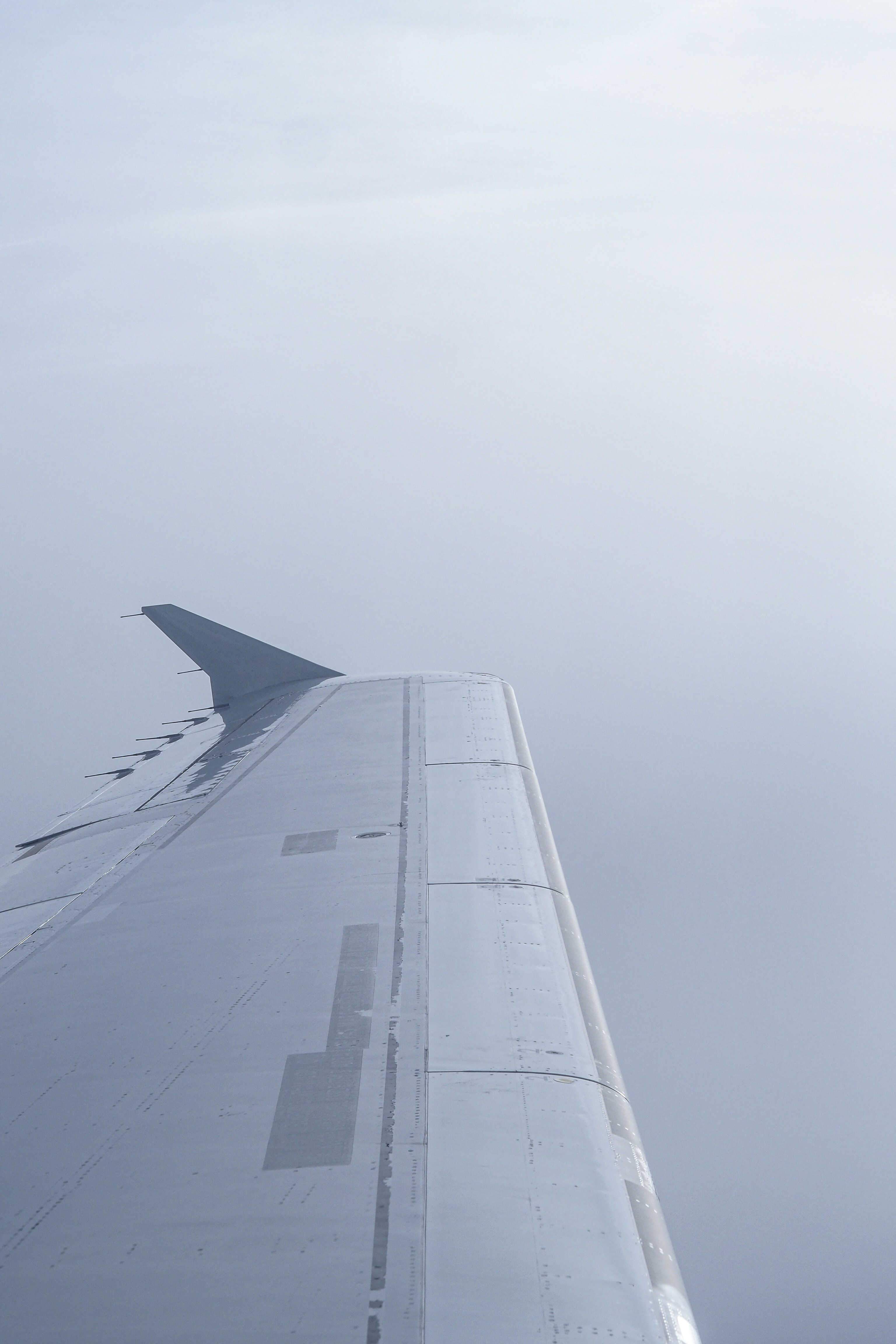 Photo by laurachouette