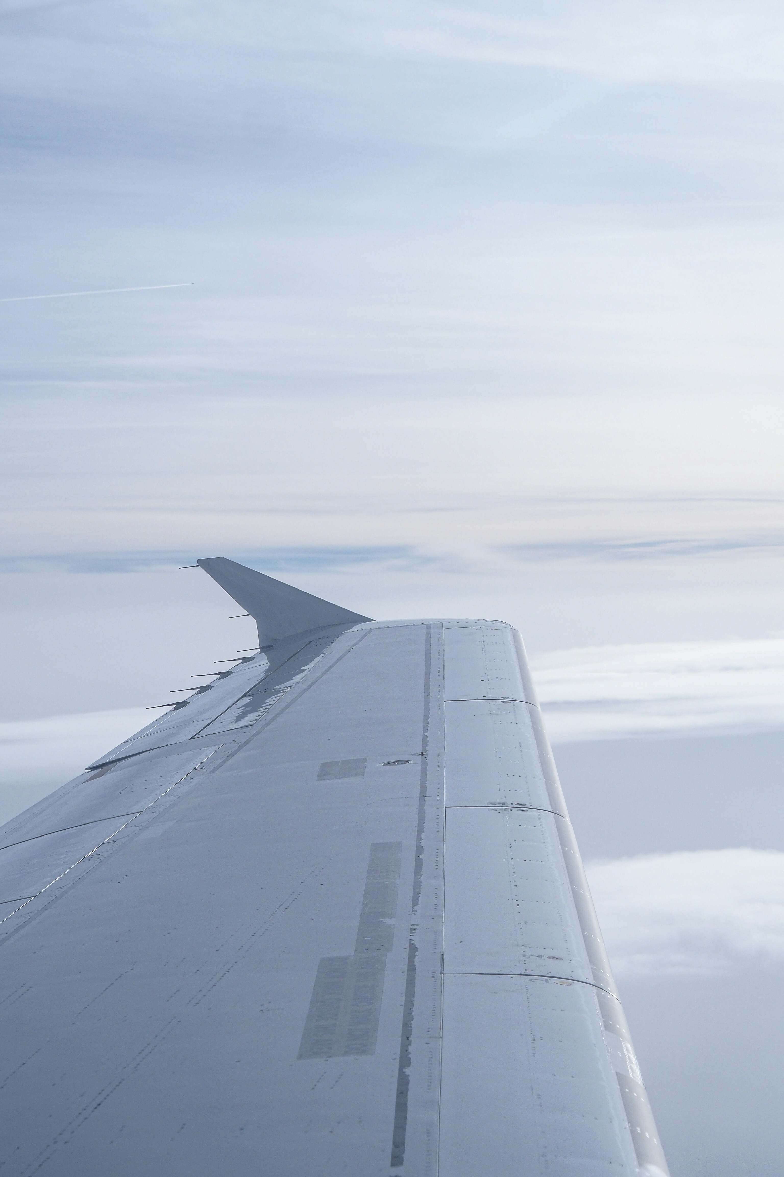 Photo by laurachouette