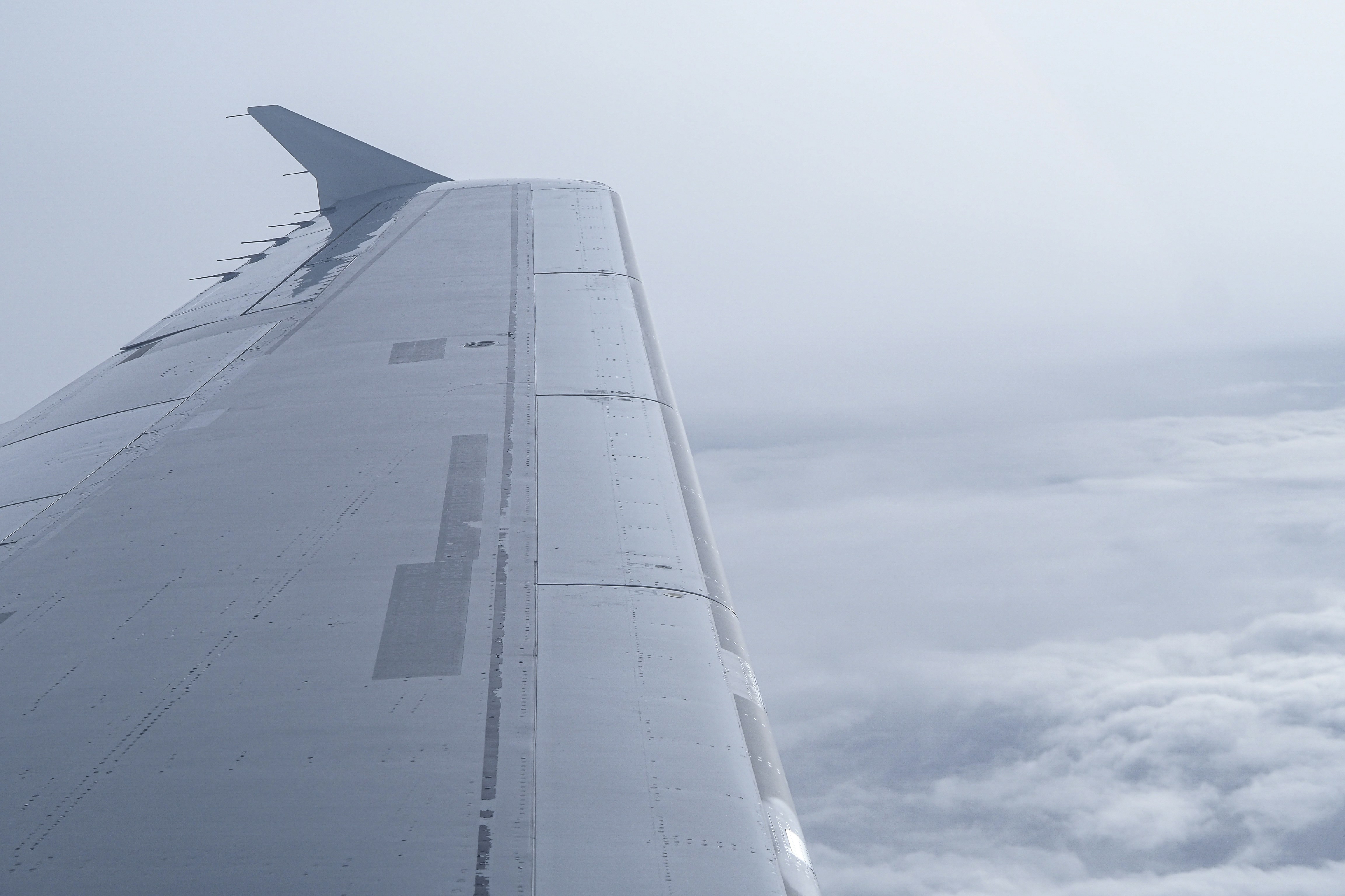 Photo by laurachouette