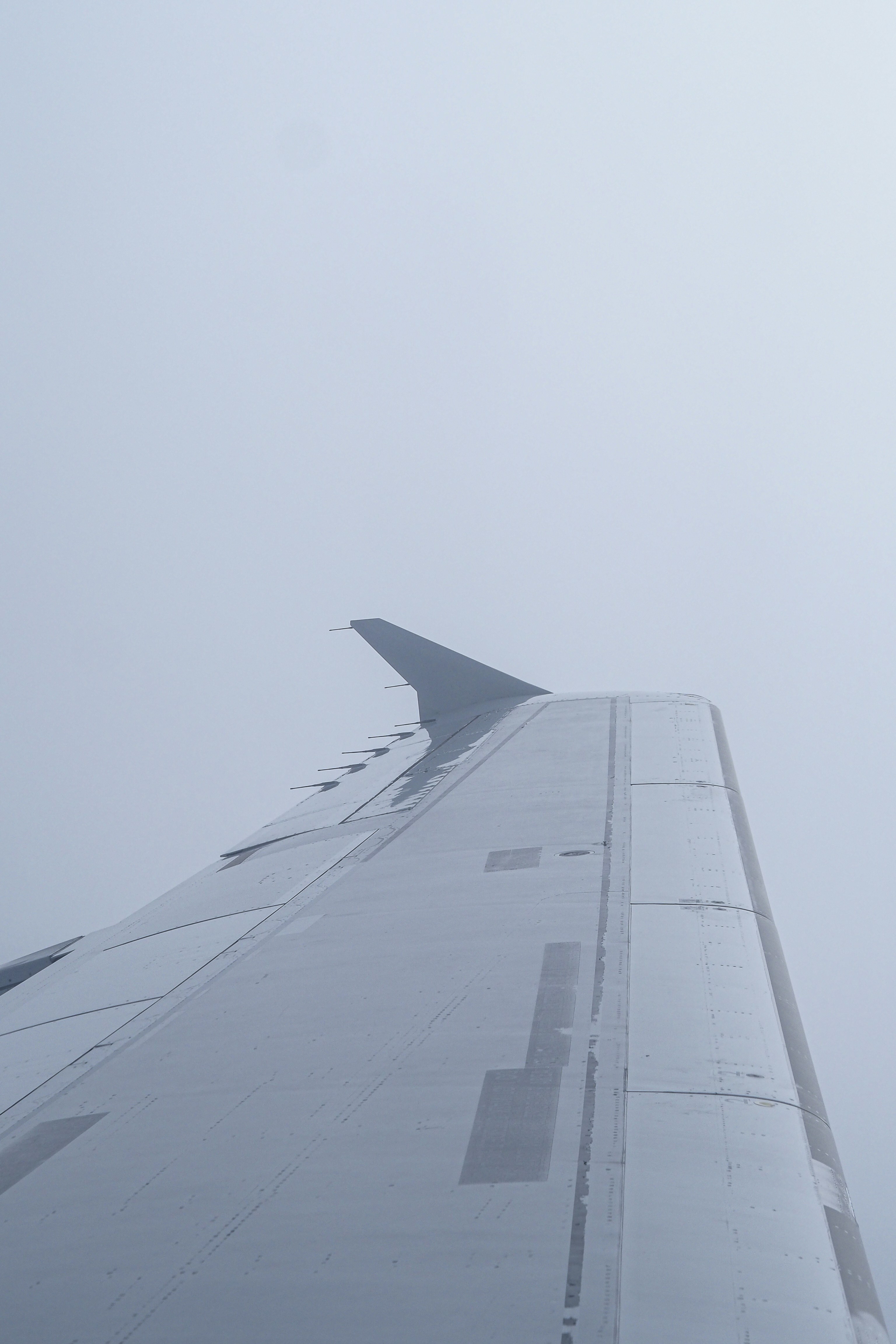 Photo by laurachouette