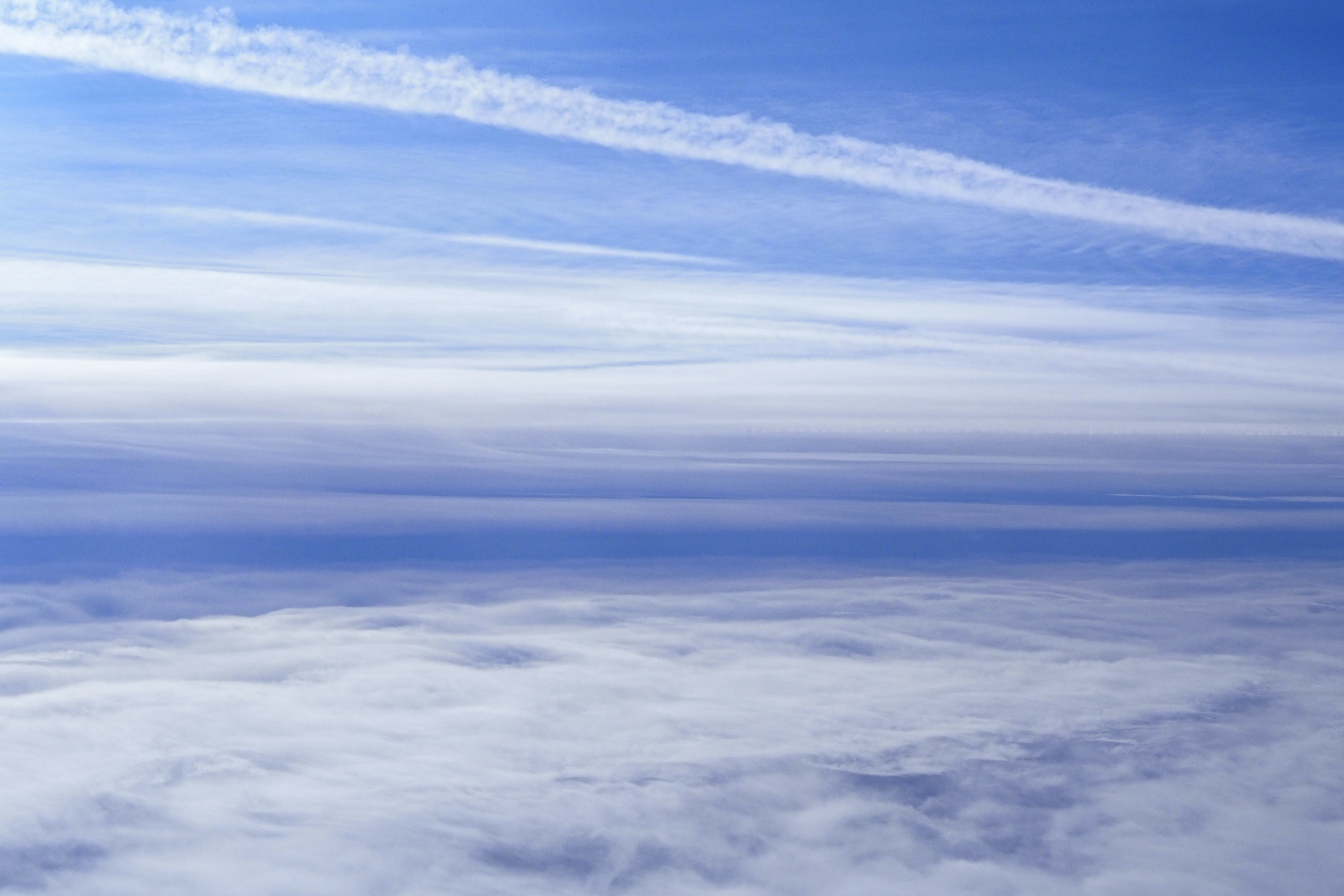 Photo by laurachouette