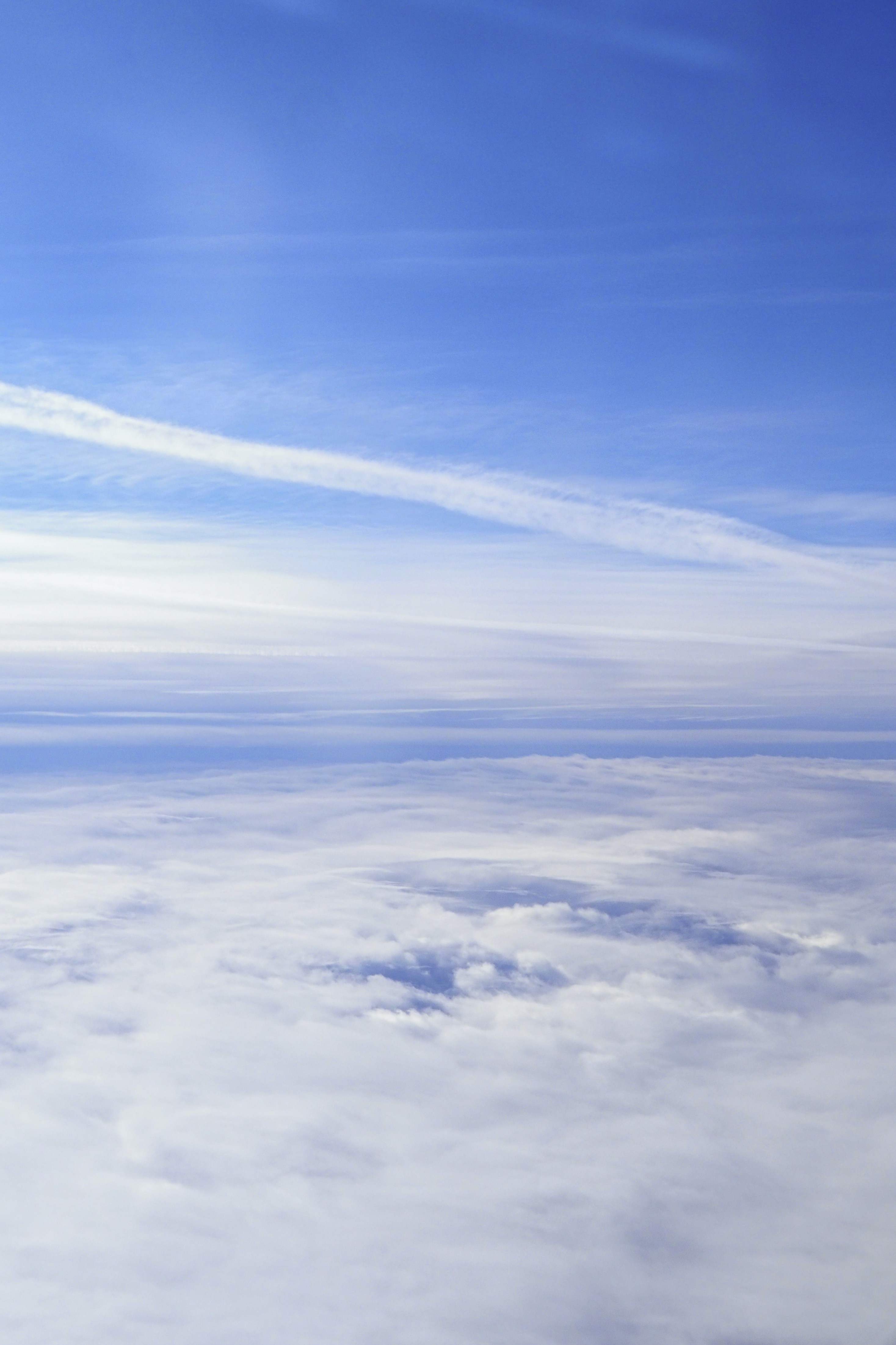 Photo by laurachouette