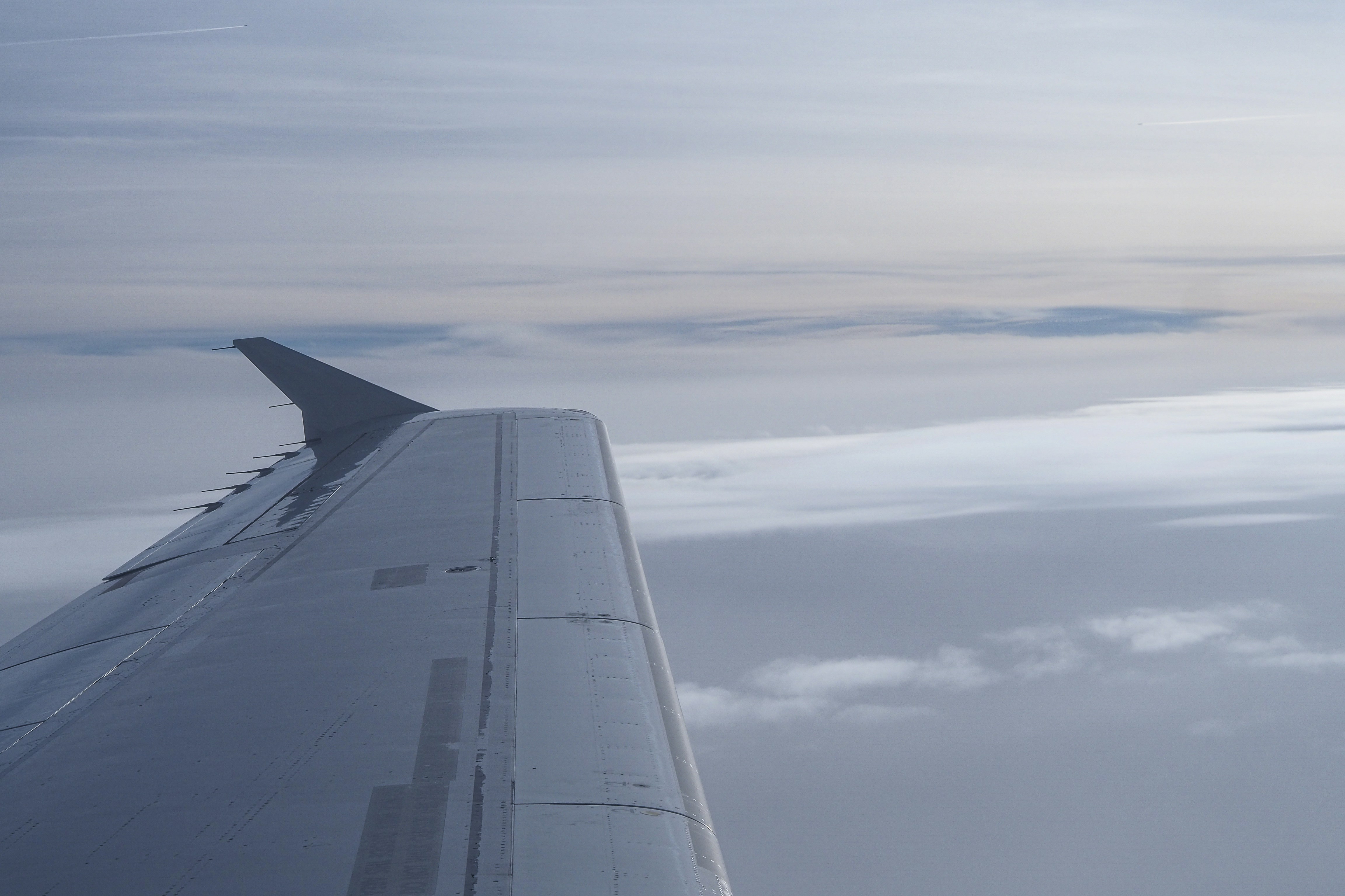 Photo by laurachouette