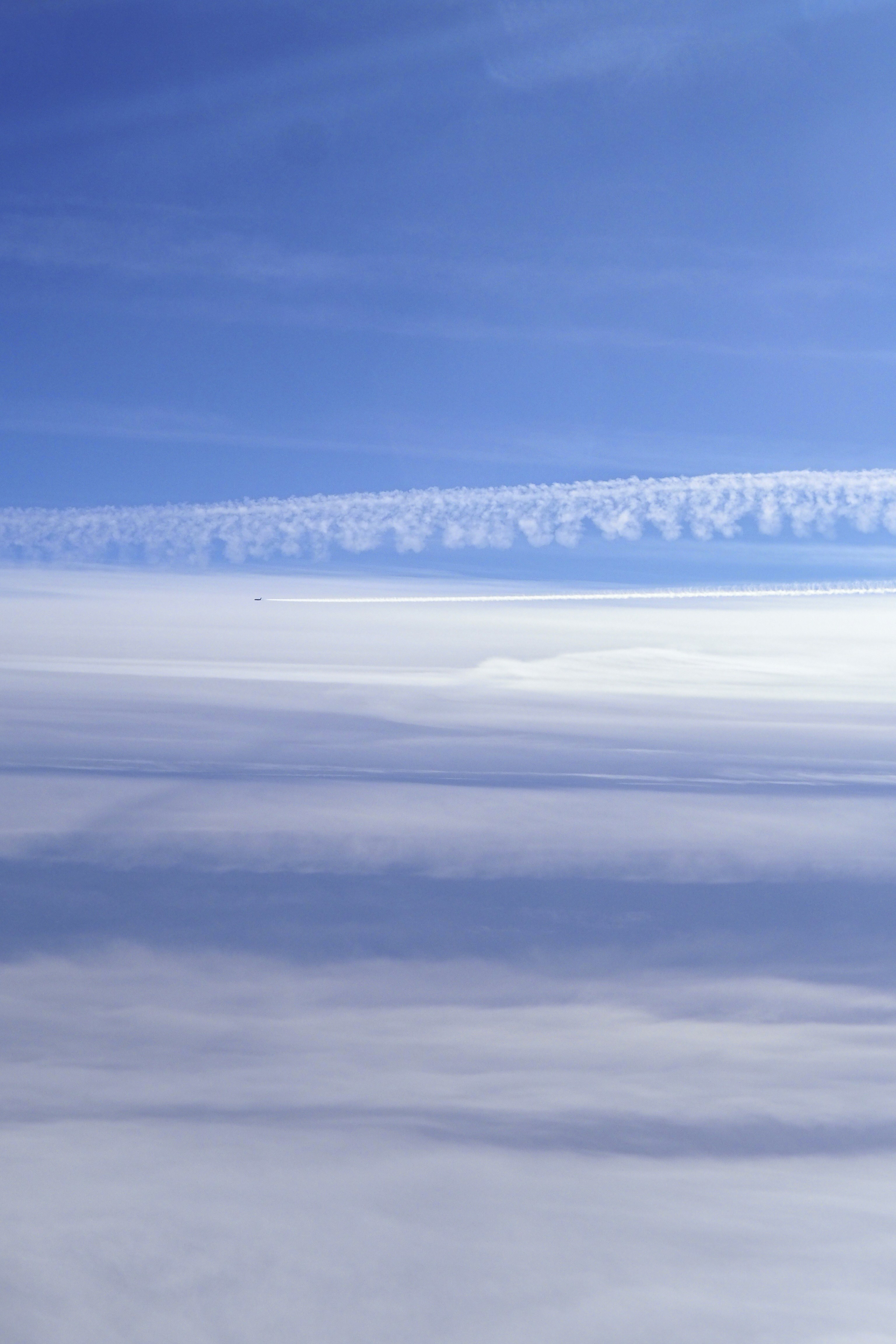 Photo by laurachouette