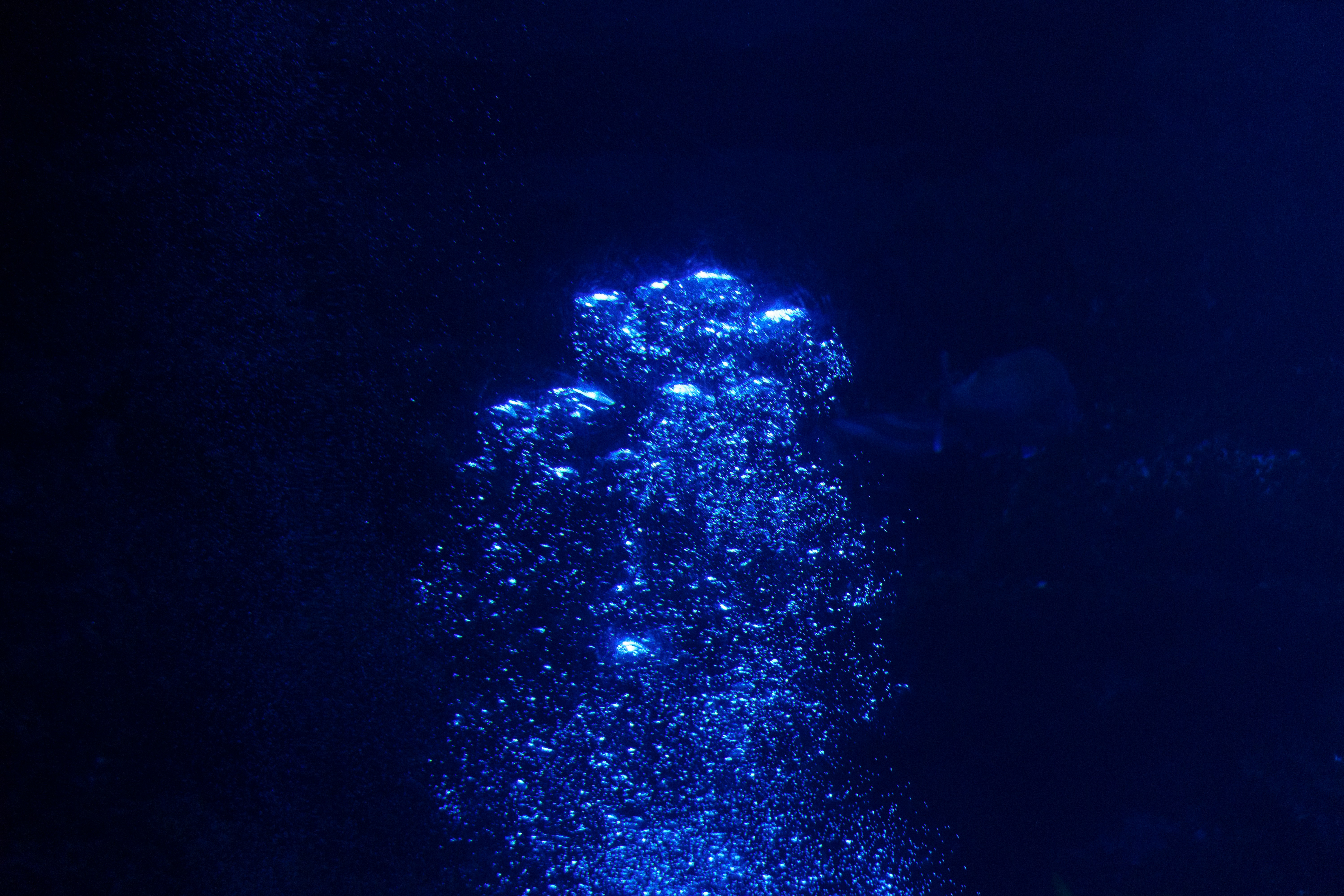 Bubbles rise in dark underwater scene