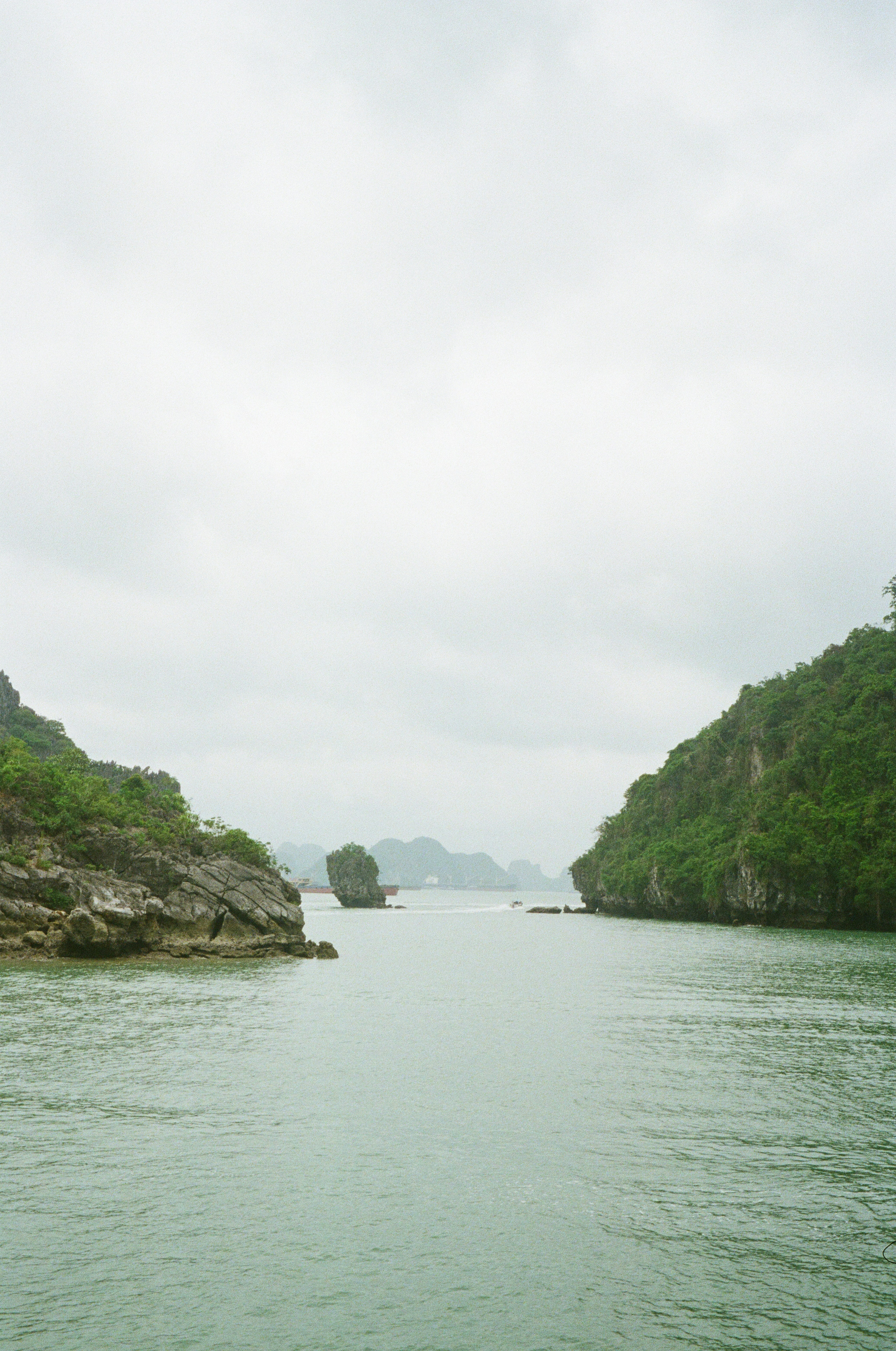 Photo by donguyenkhanhs