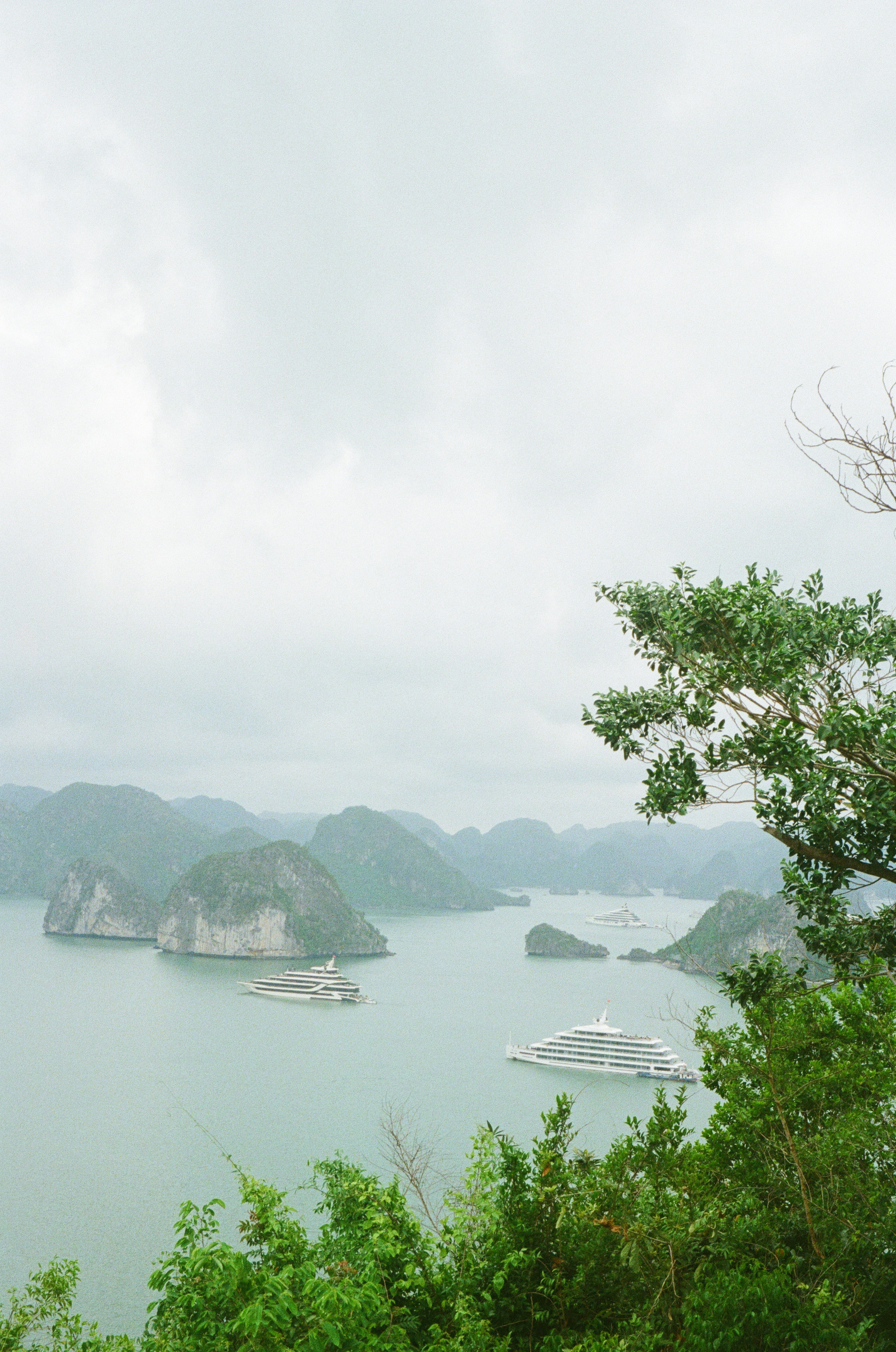 Photo by donguyenkhanhs