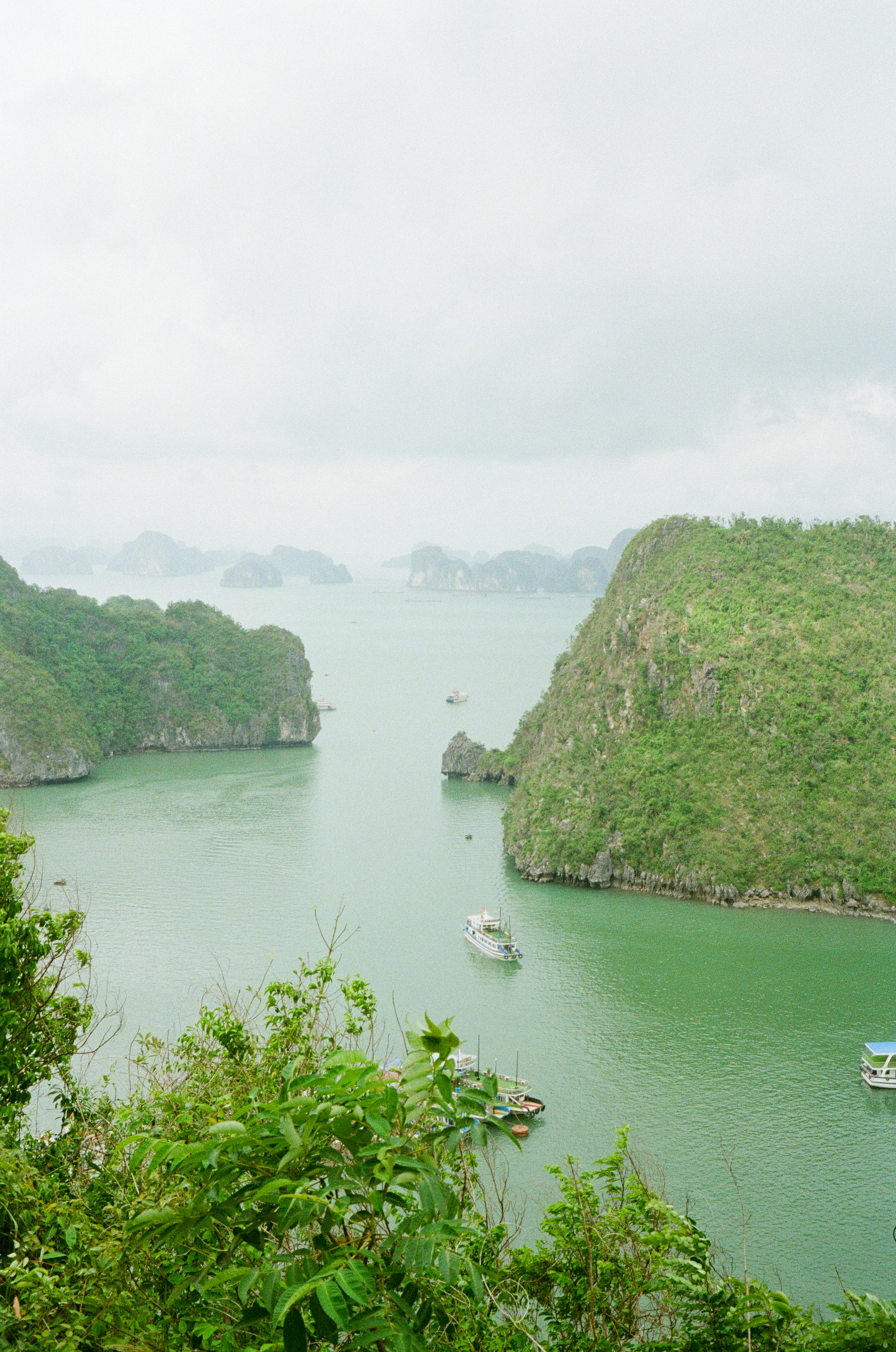 Photo by donguyenkhanhs