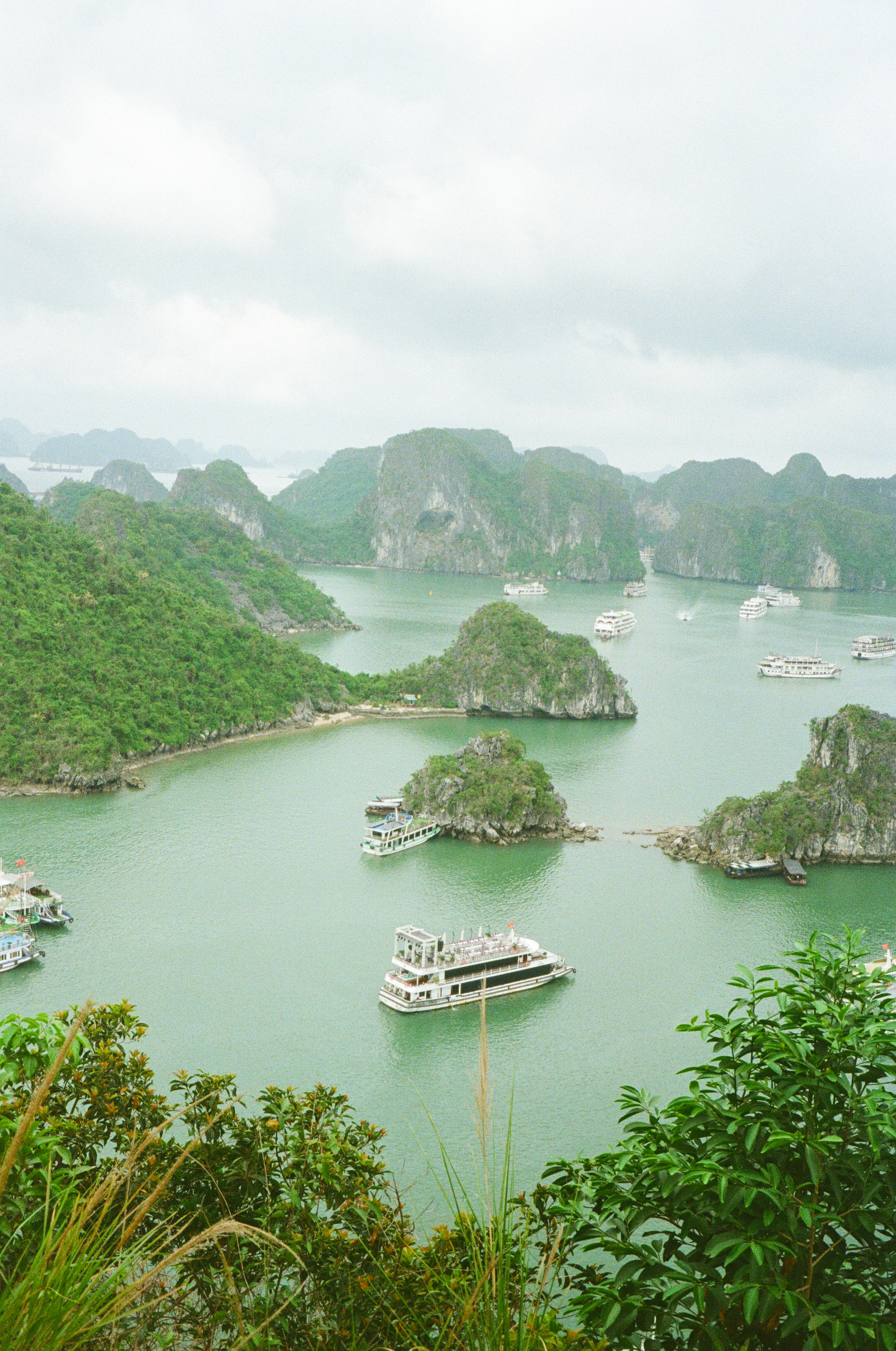 Photo by donguyenkhanhs