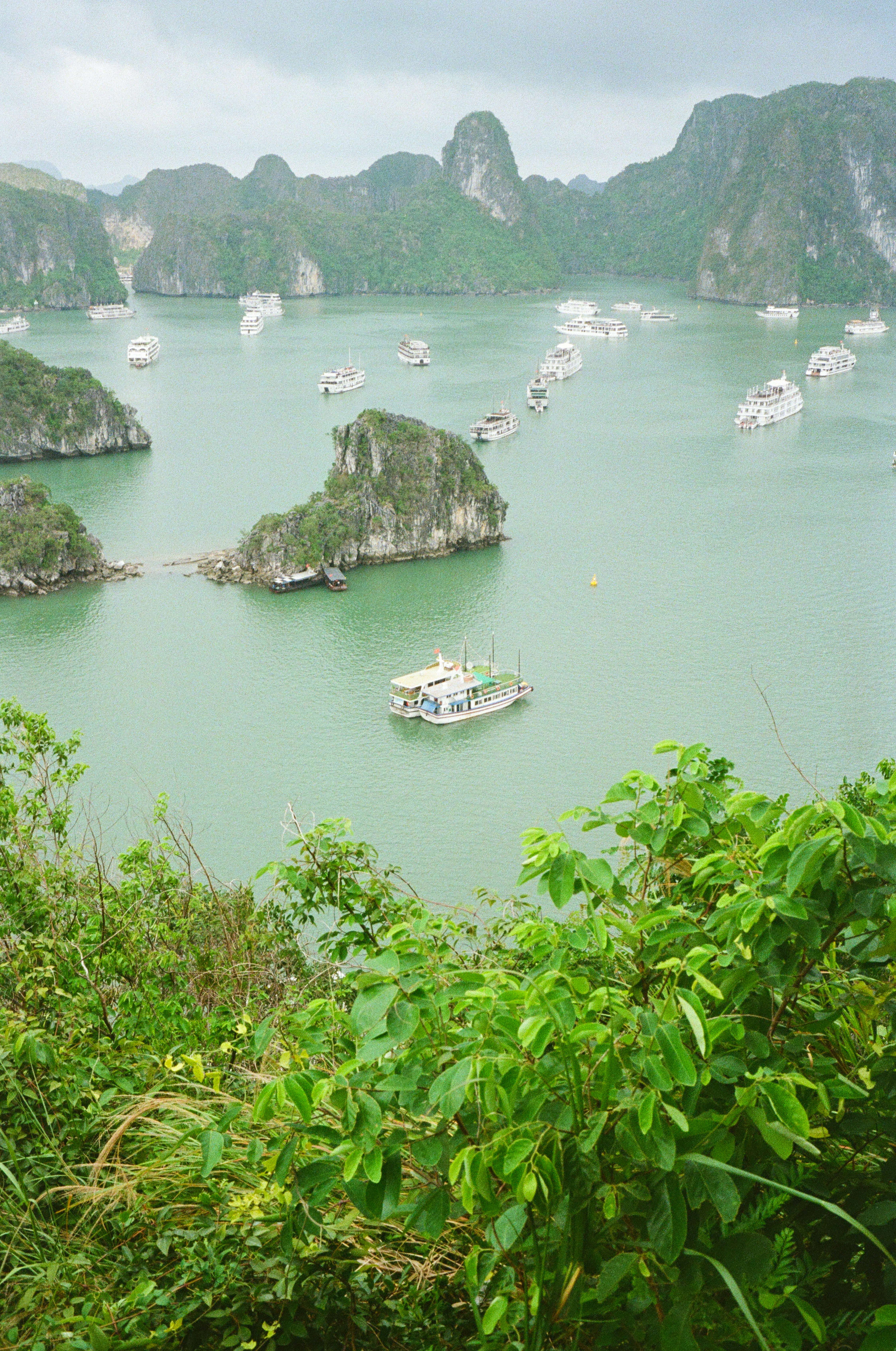 Photo by donguyenkhanhs