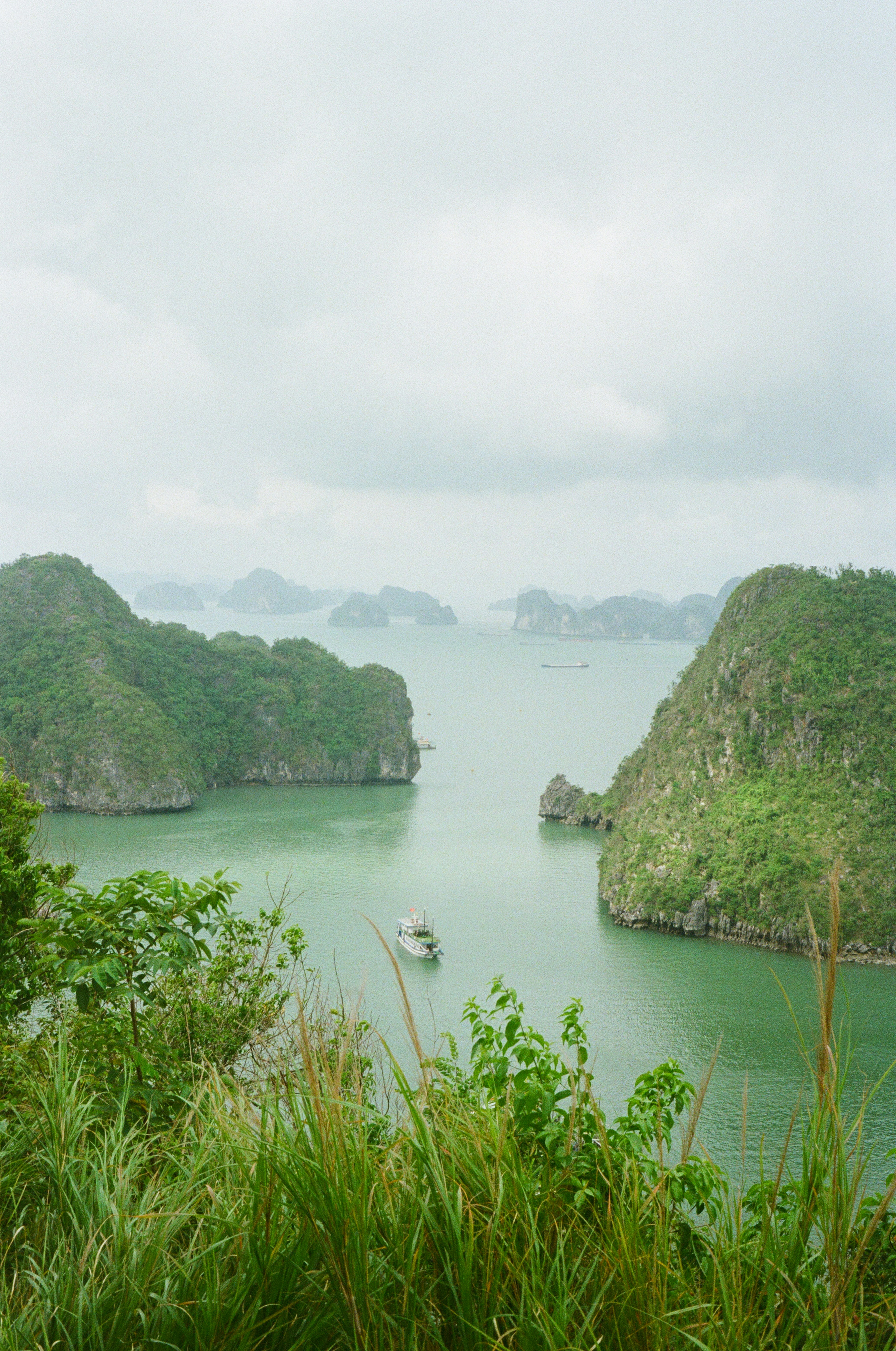 Photo by donguyenkhanhs