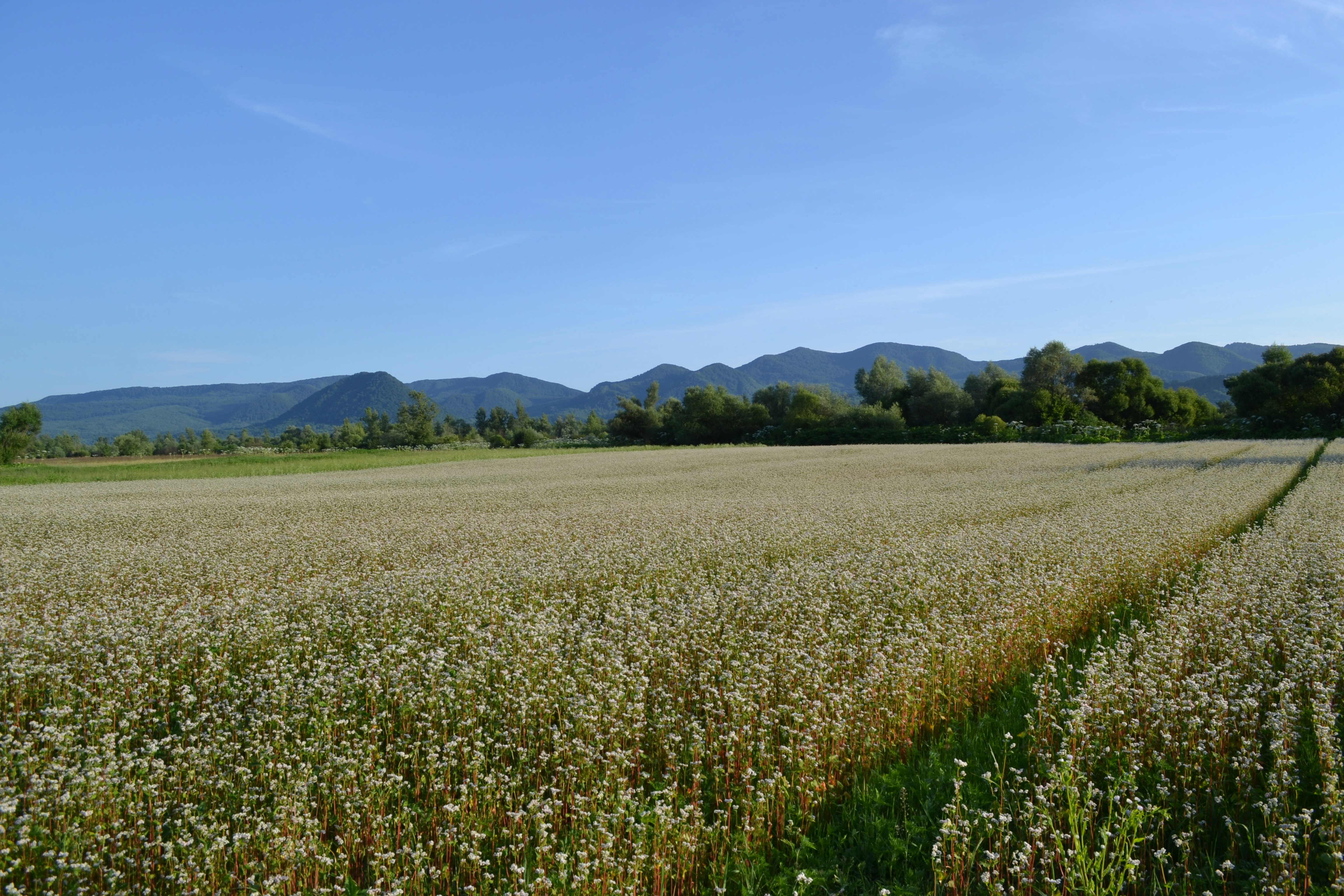 Photo by eugenegrunge