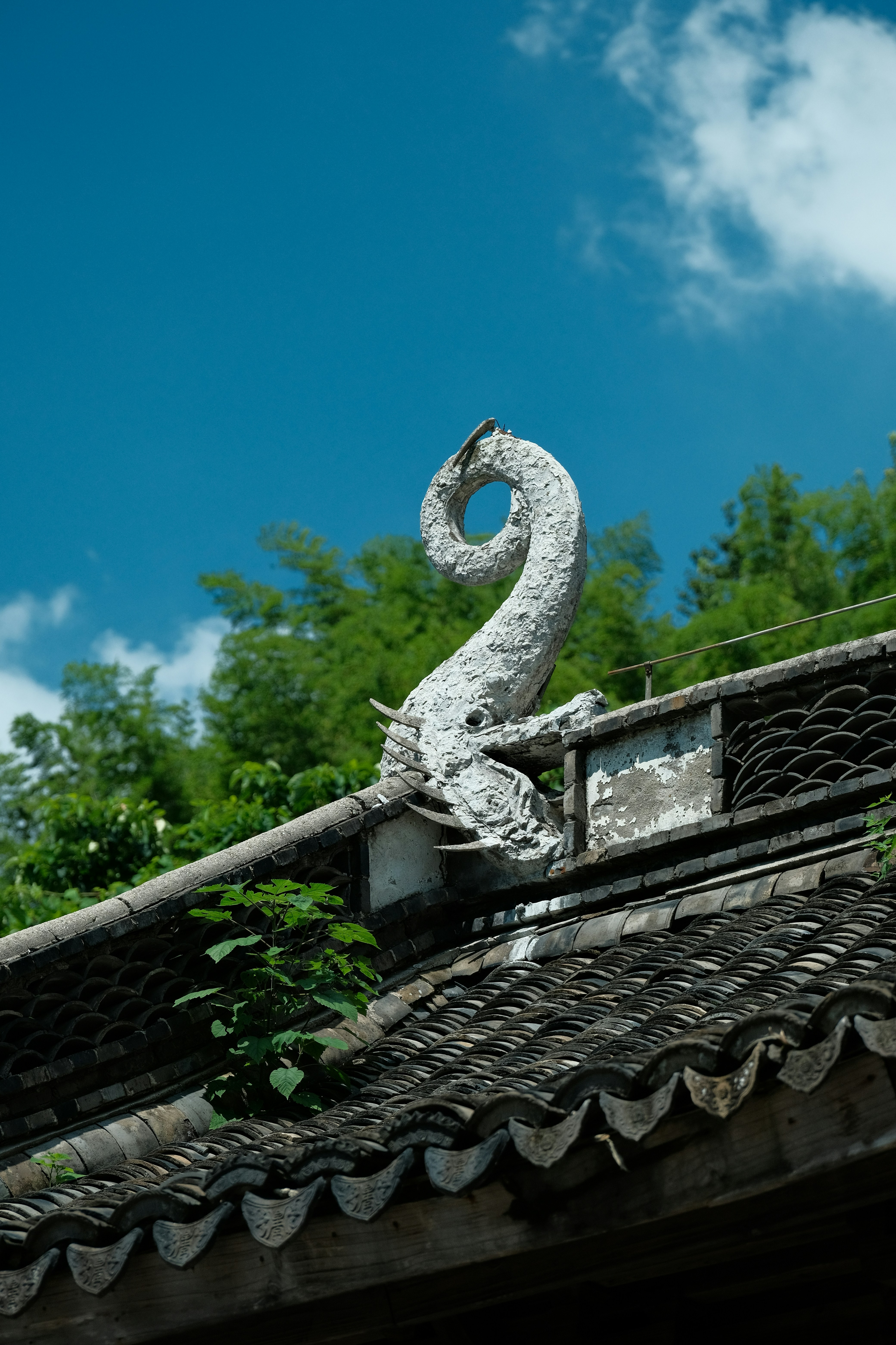 A dragon statue rests on a tiled roof. photo – Free Image on Unsplash