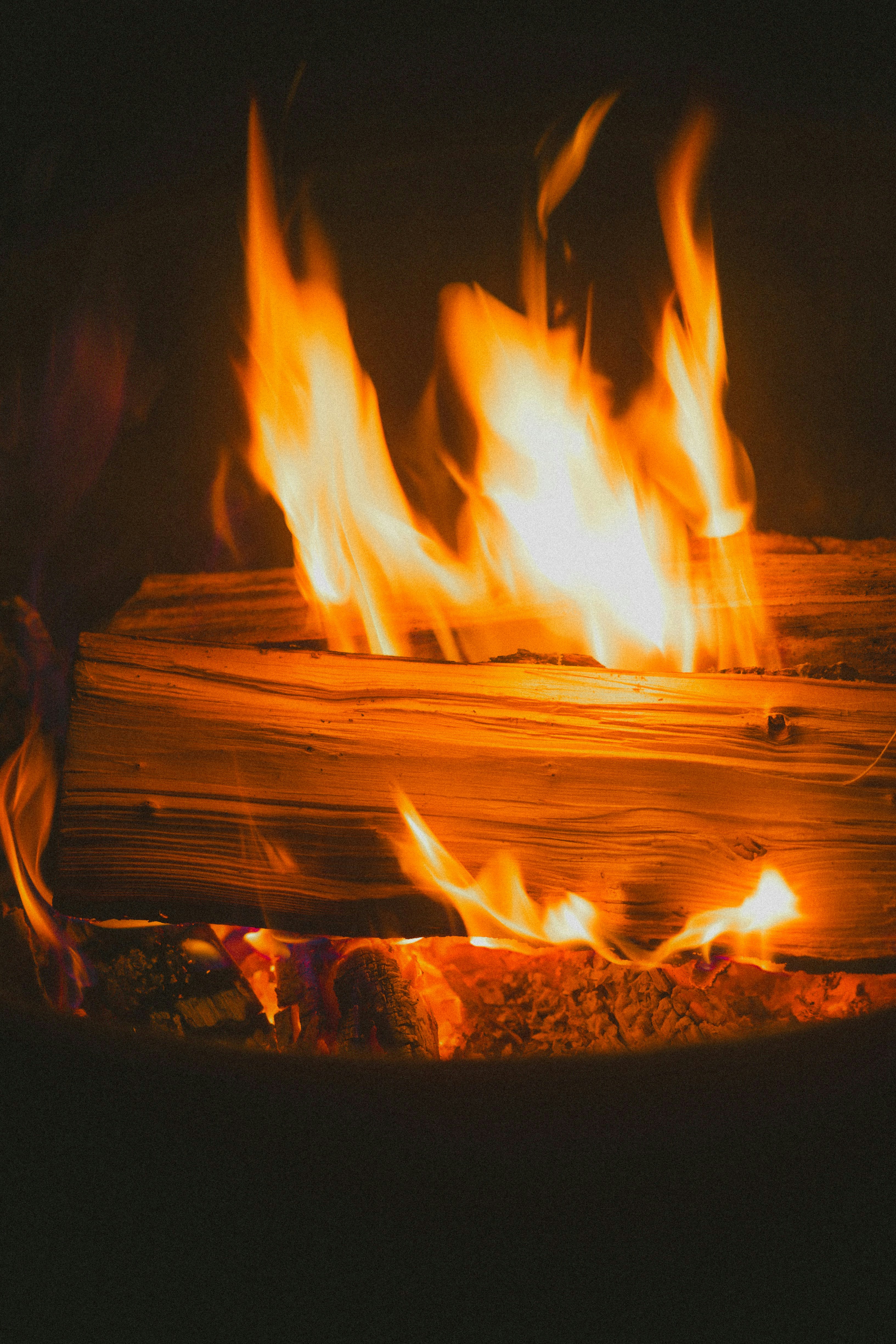 Flames are burning on a log of wood.