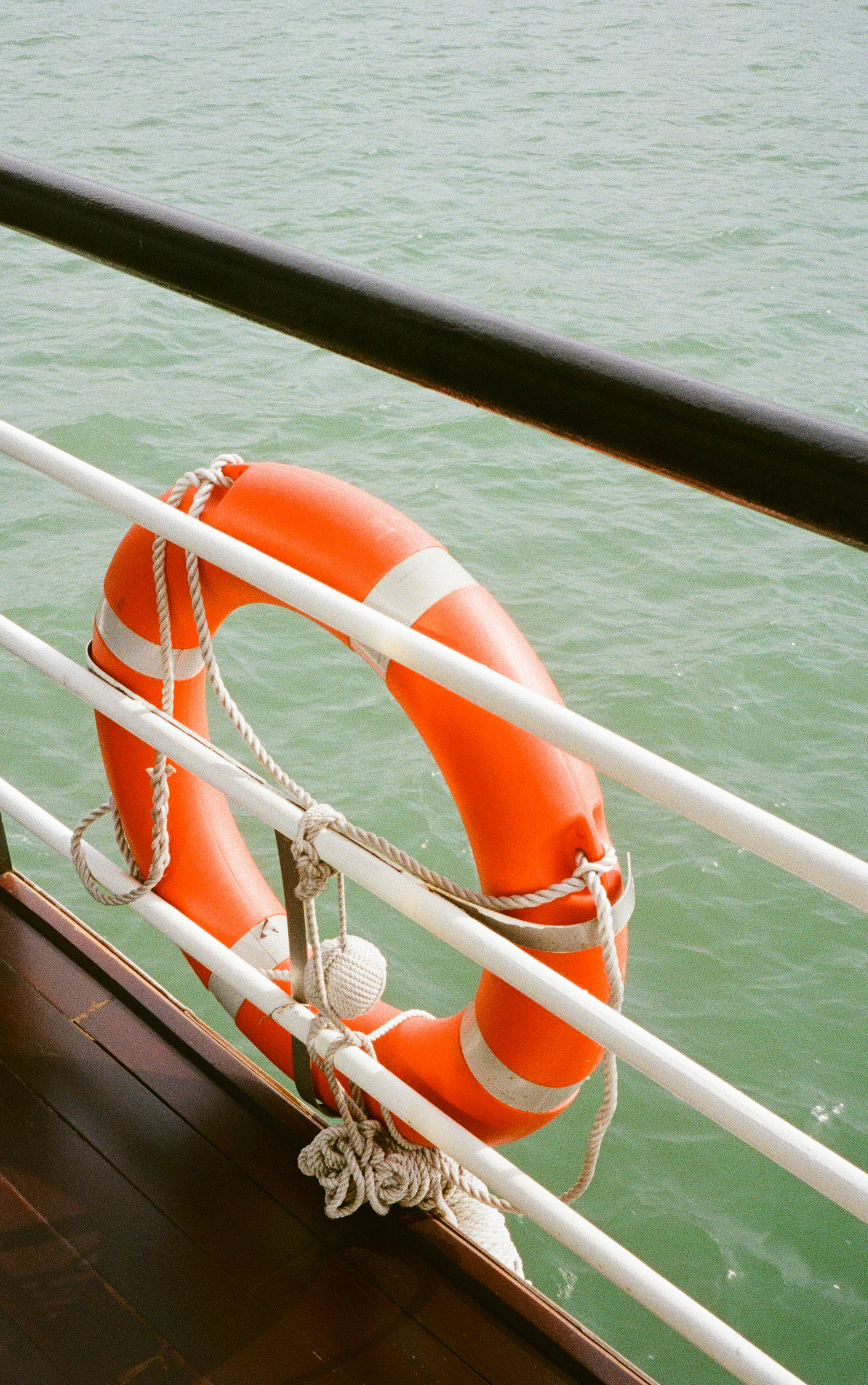 Photo by donguyenkhanhs