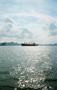 A cargo ship sails on a sparkling ocean.